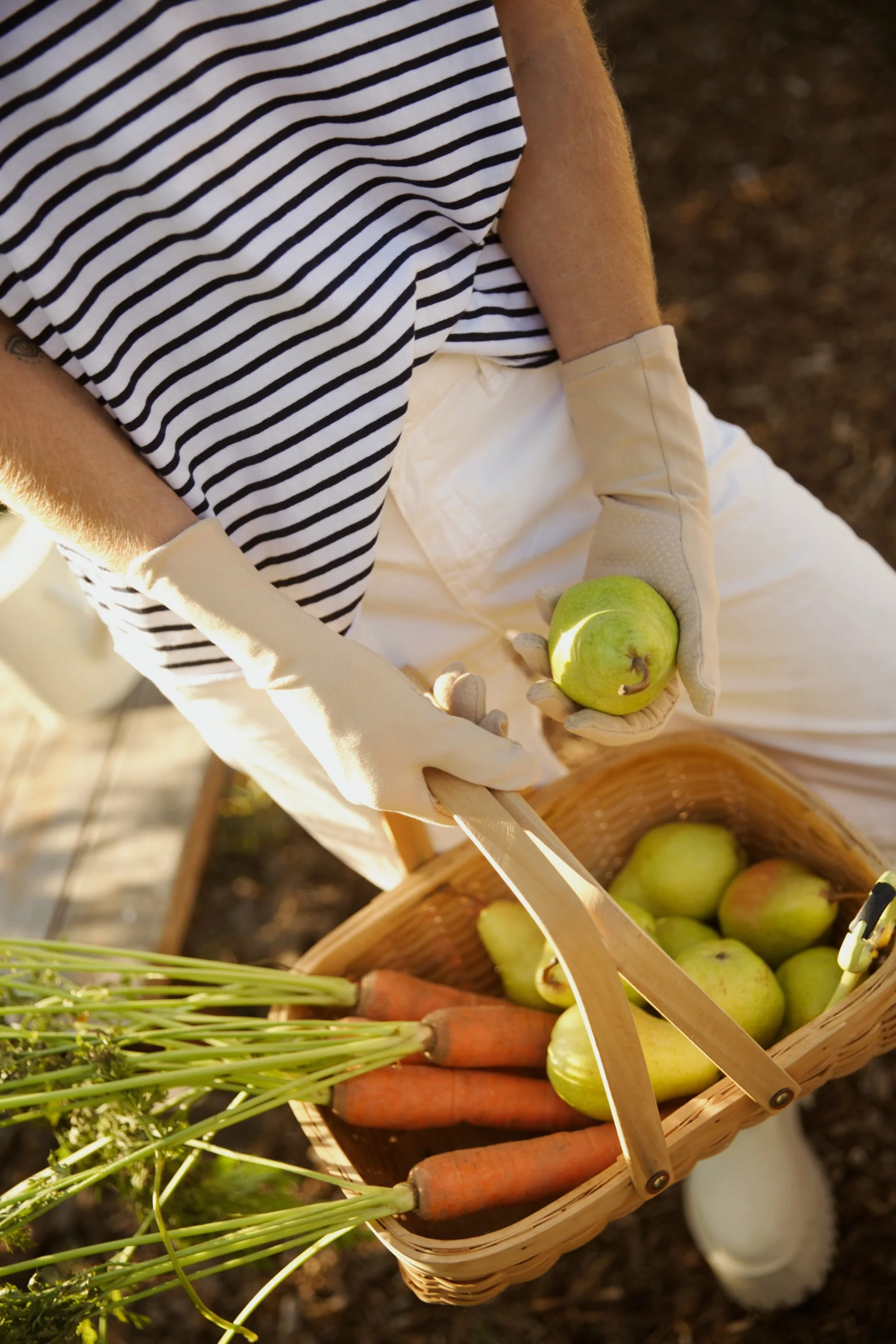 A person in a striped shirt and white gloves holding a green apple, with a basket of apples and carrots on the ground nearby, in an outdoor setting.