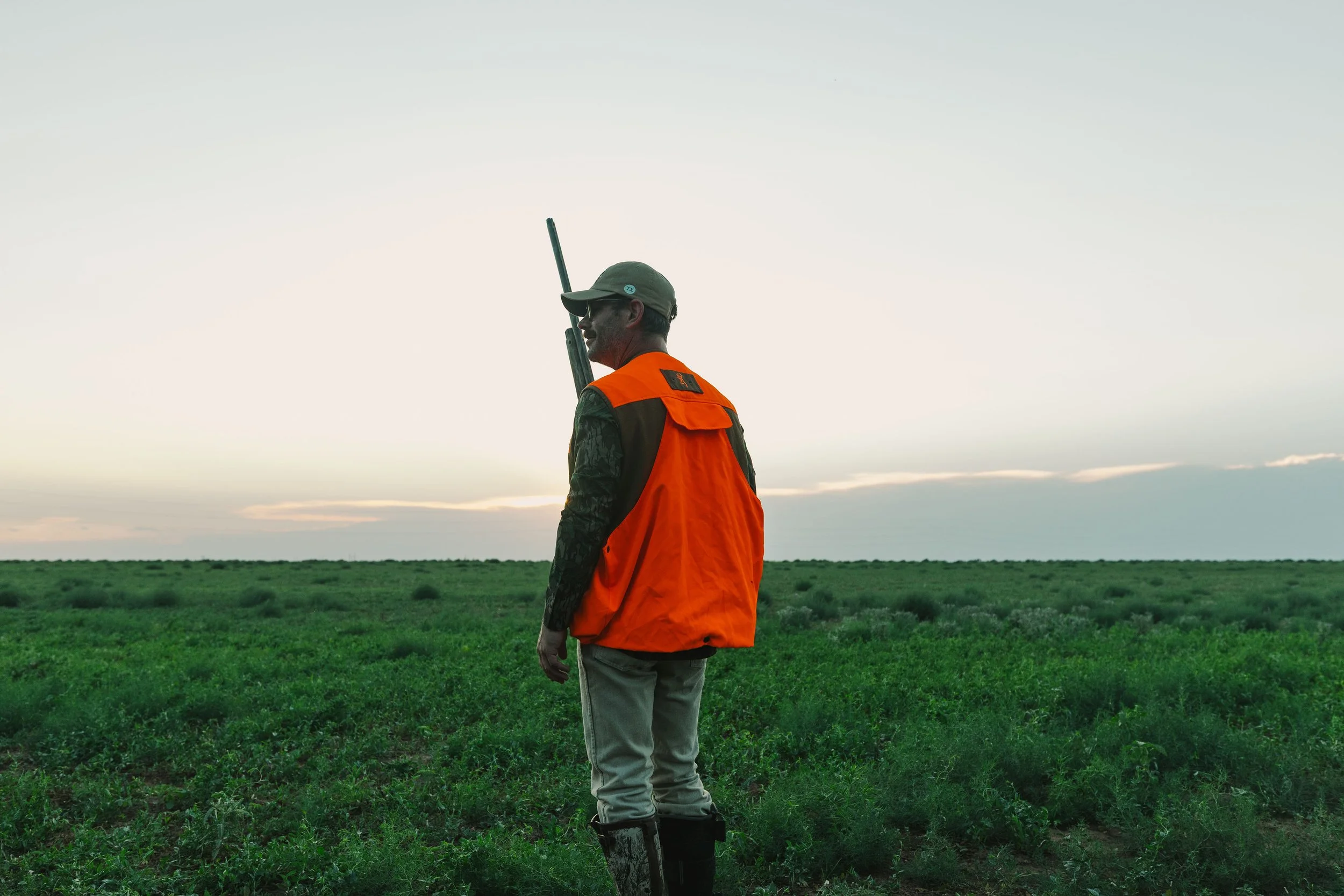 A man in camouflage clothing and an orange vest standing in a green field during sunset, holding a rifle over his shoulder.