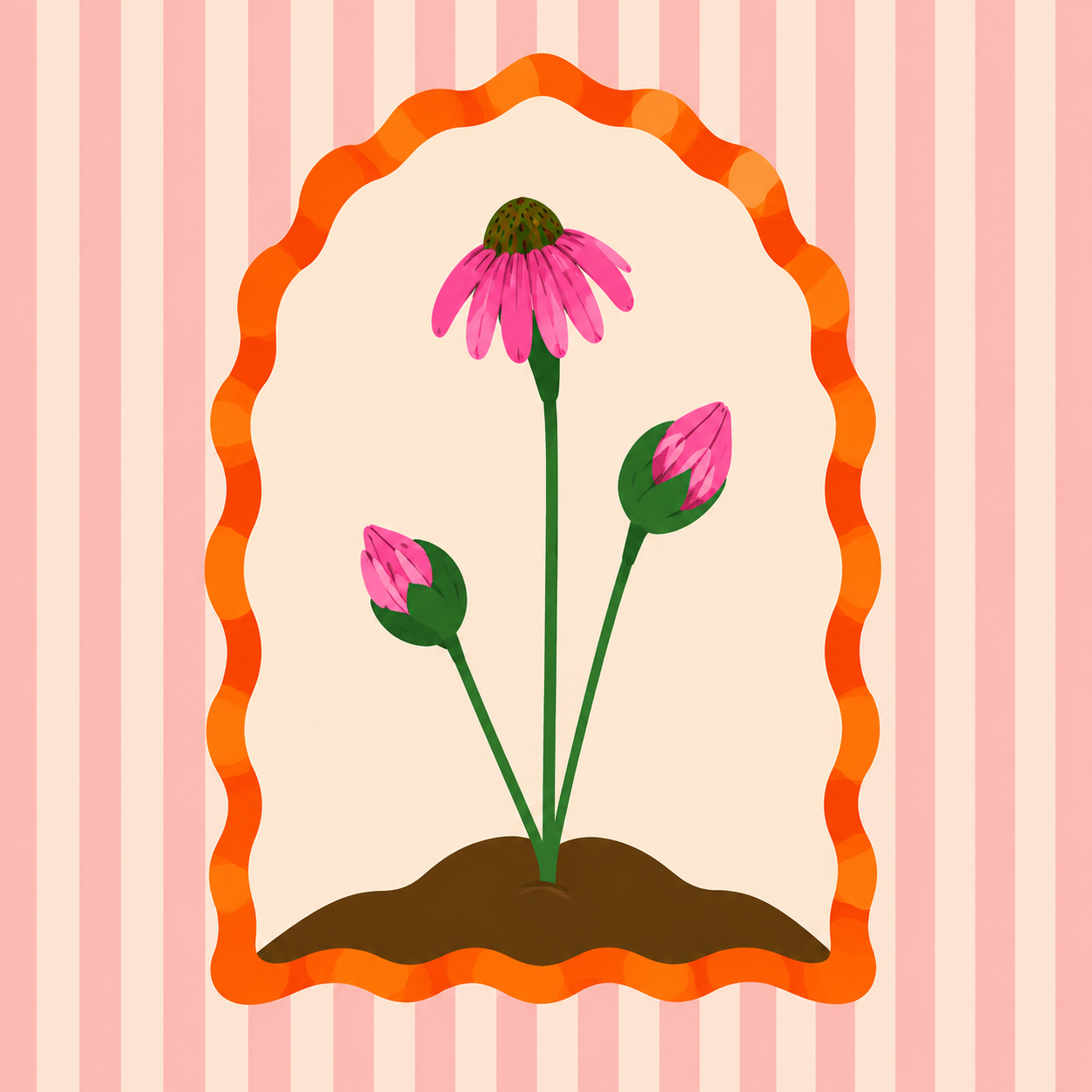 Illustration of a pink coneflower with three buds, set against a pink and white striped background, framed by an orange wavy border.