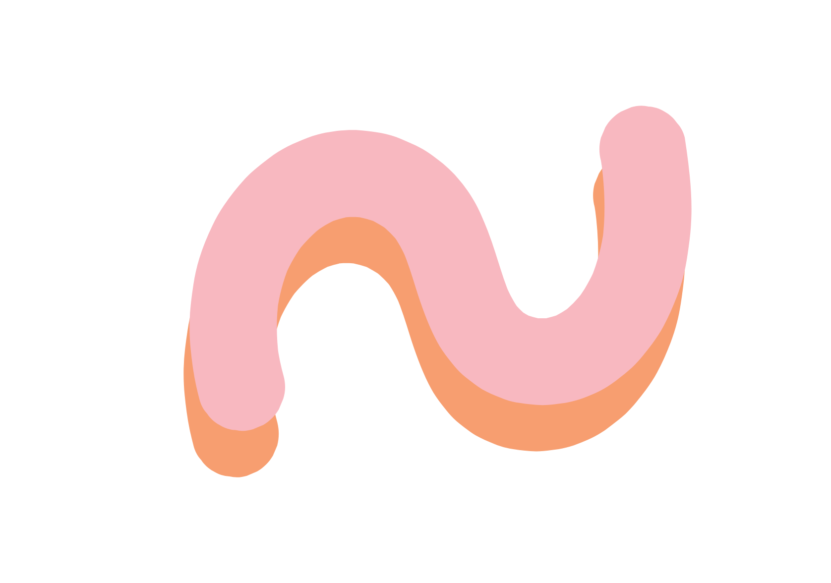 Animated illustration of a colorful snake with pink and orange segments, forming a curved 'S' shape.