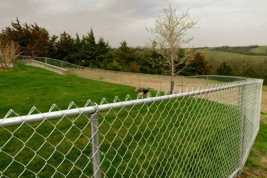 A chain-link fence running along a grassy area with a dog walking on the grass. There are trees and a hilly landscape in the background under an overcast sky.
