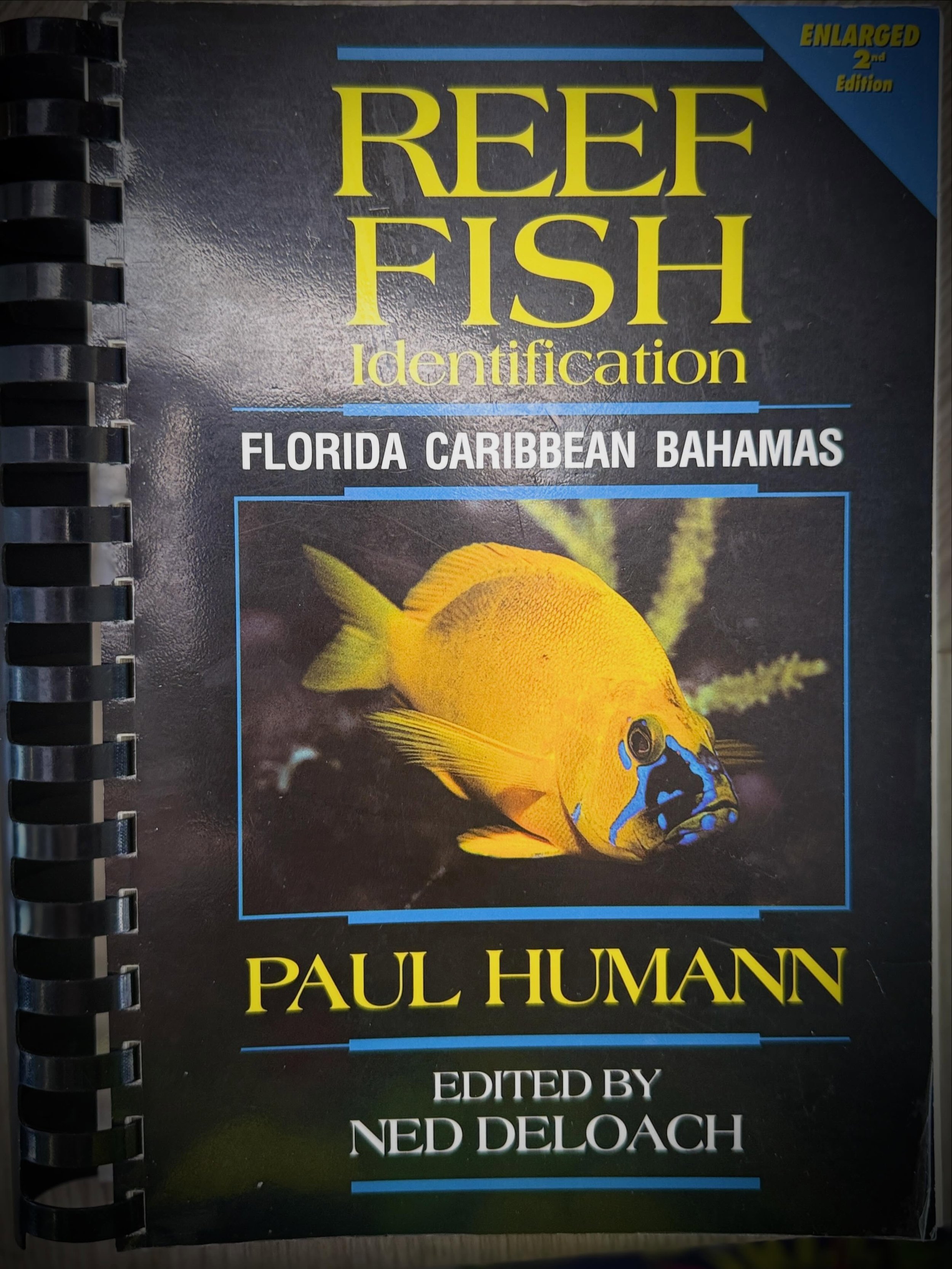 If you will be doing any snorkeling while in Antigua, we highly recommend getting a fish identification book! It&rsquo;s always a fun competition to see who can identify the most fish and what stage of development they are in.

Kids and adults alike 