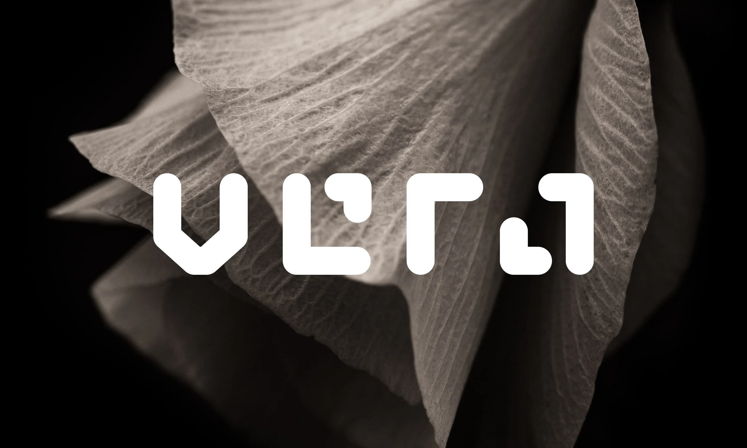 VERA_LEAF-min.jpg