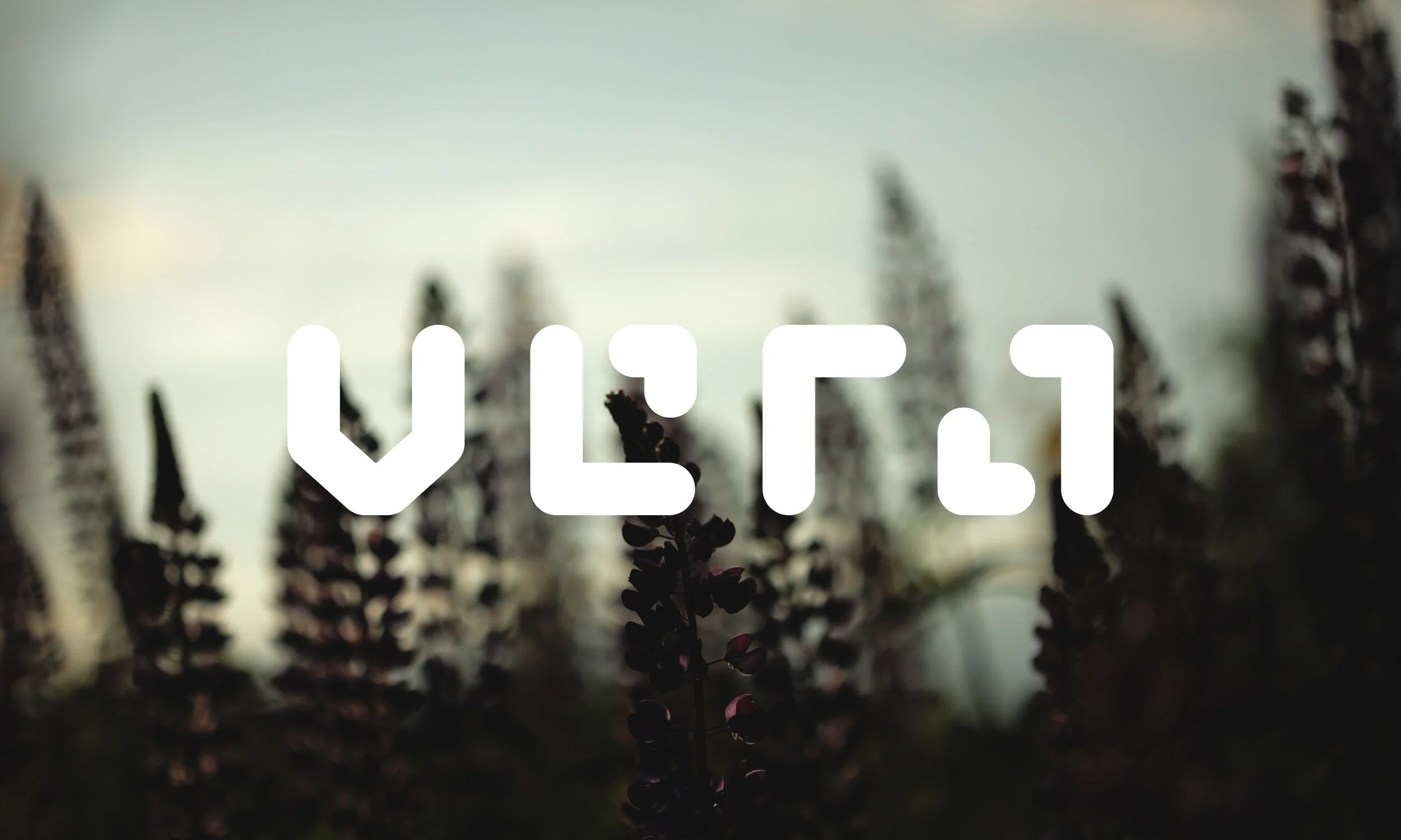 VERA_1-min.jpg