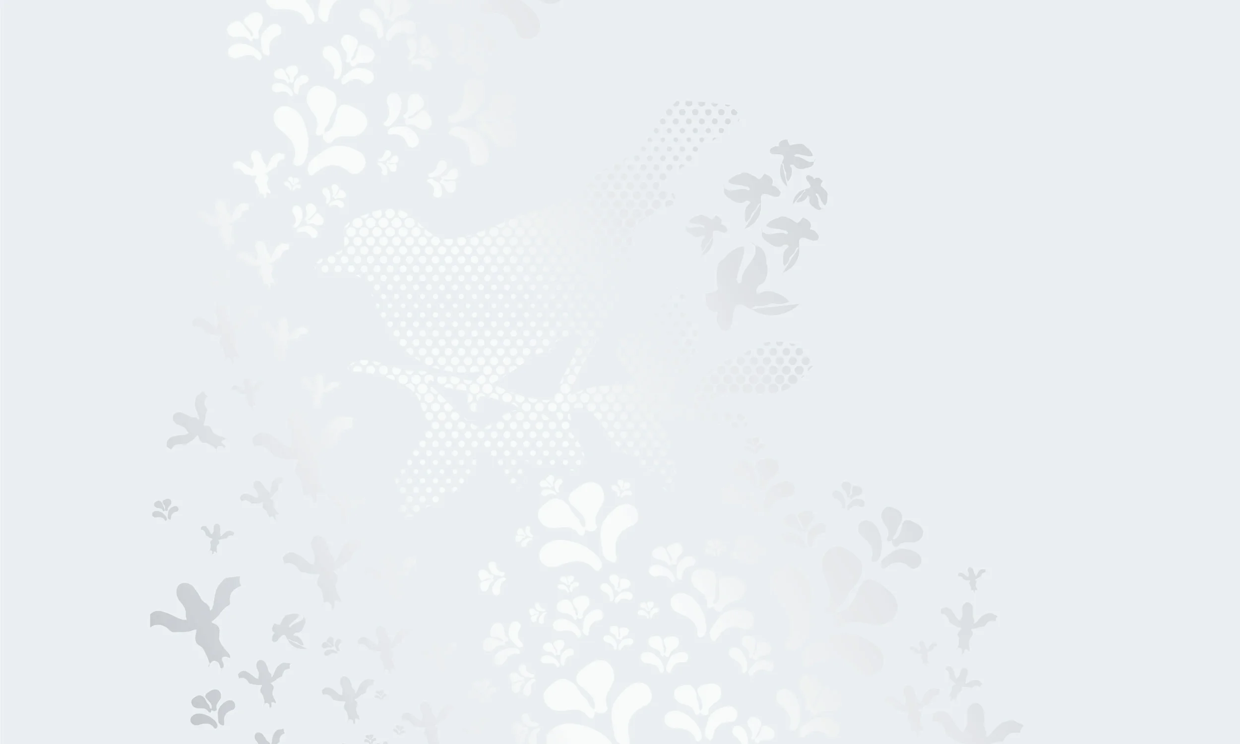 EDGE-BANNER.jpg