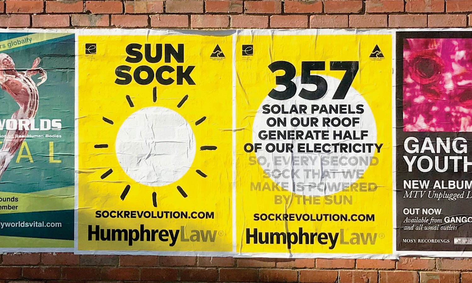 SUNSOCK-CAMPAIGN2_LR.jpg
