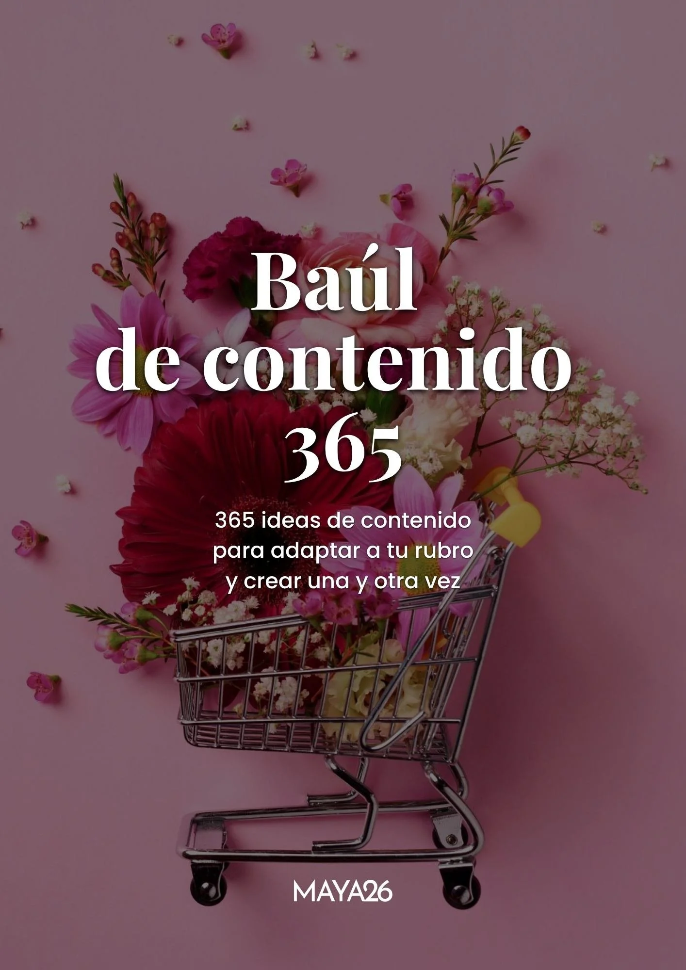 baul-de-contenido-365.jpg