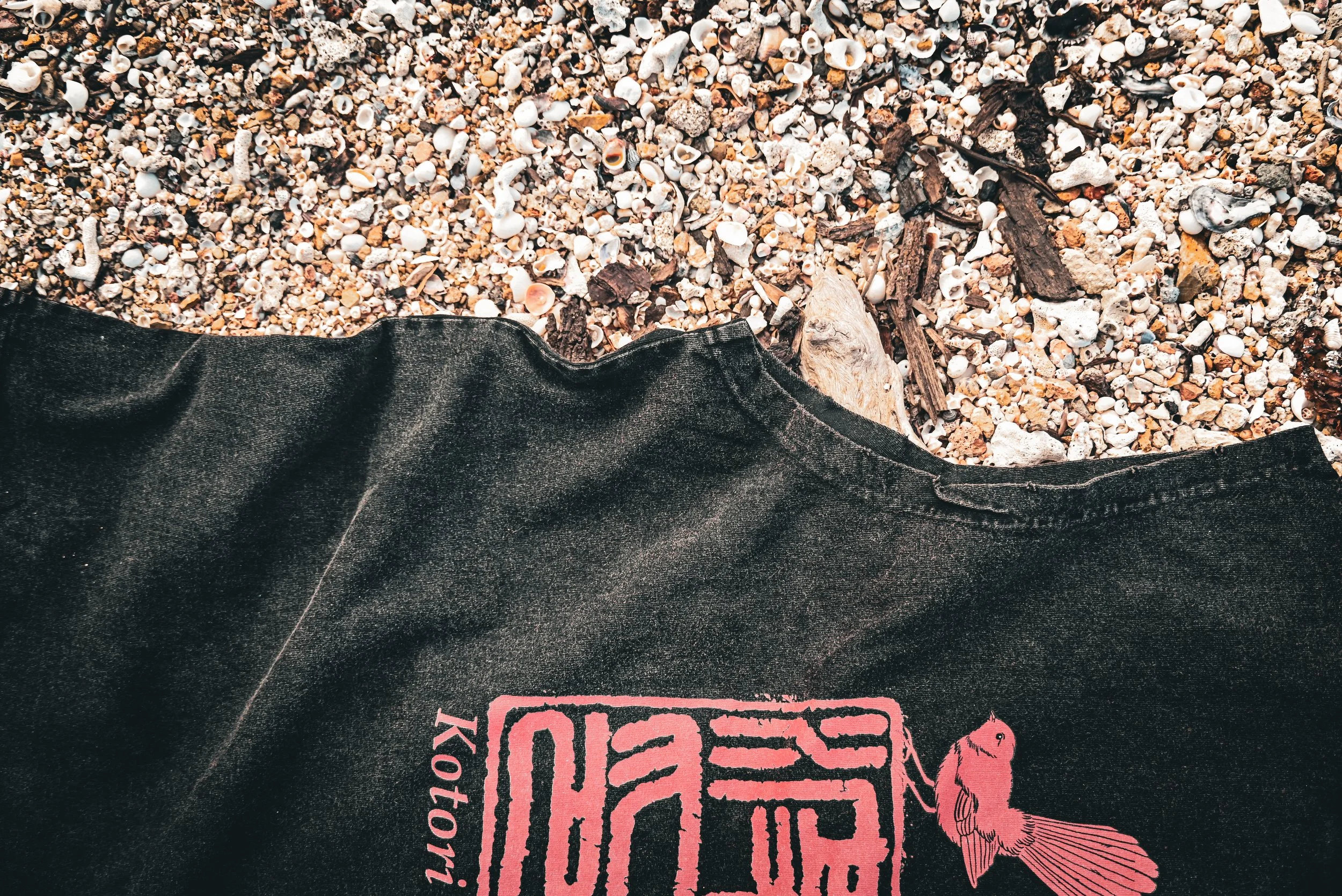 DSC_0815.jpeg