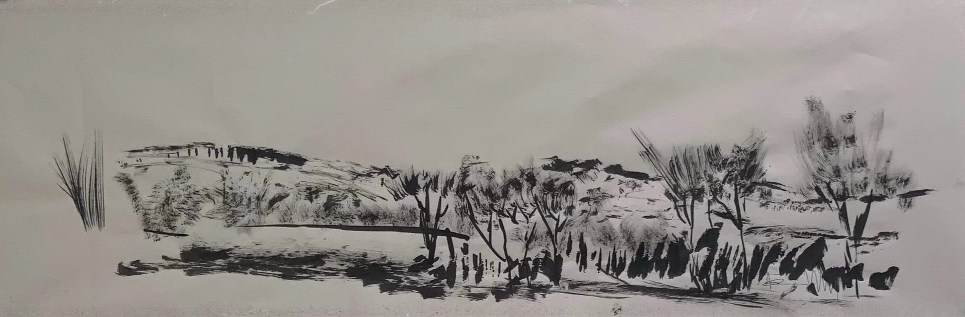 Quimbaya's Garden