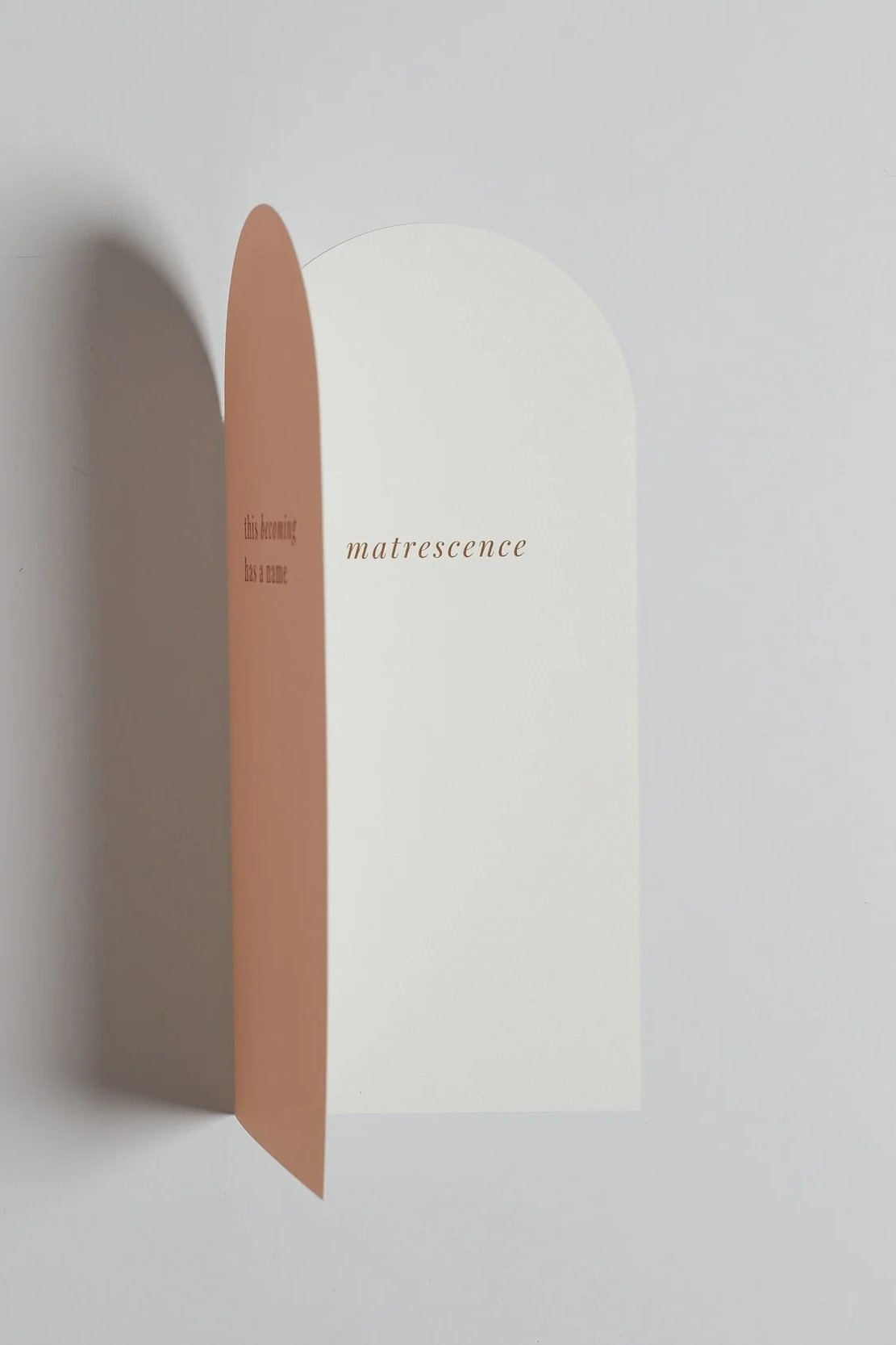 card6%2Cimage2.jpg