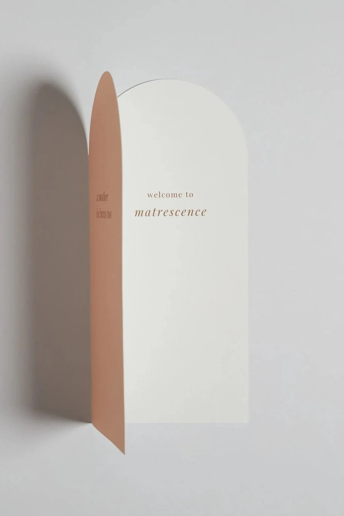 card3%2Cimage2.jpg
