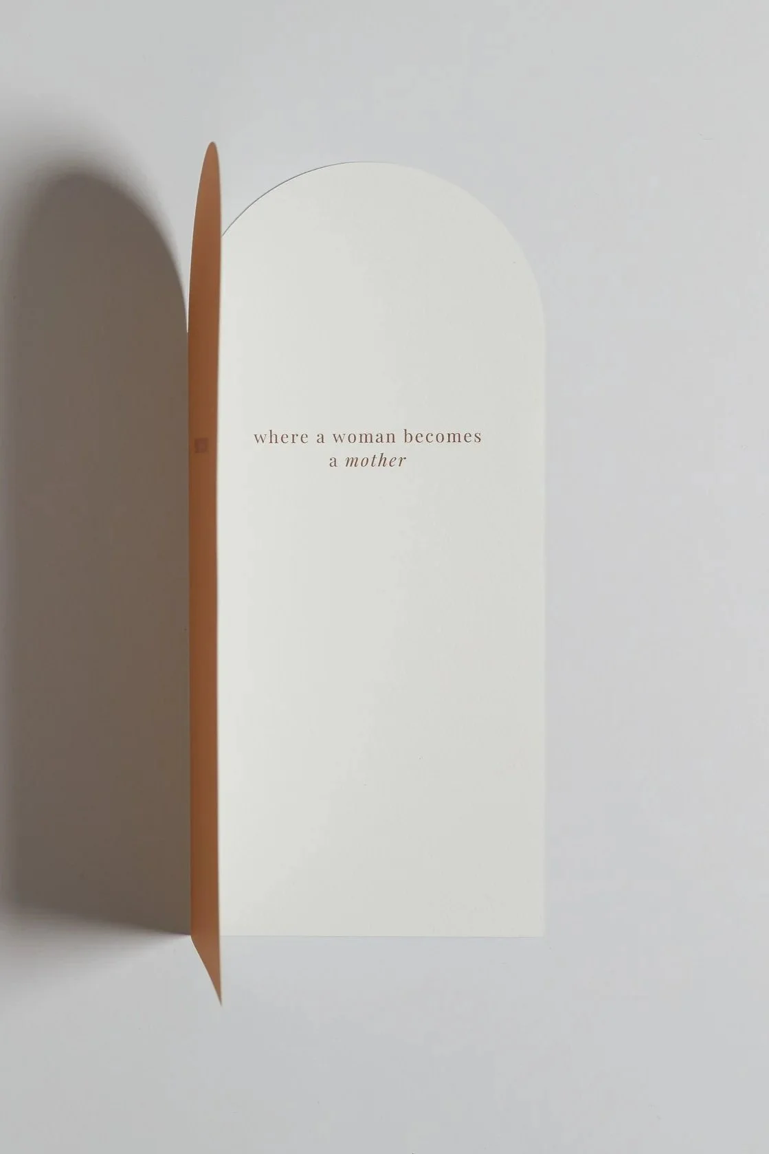 card5%2Cimage2.jpg
