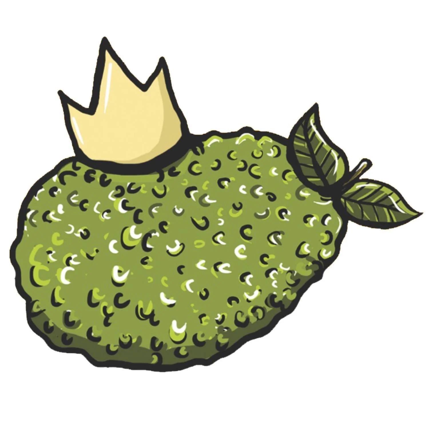 PROJECT JACKFRUIT