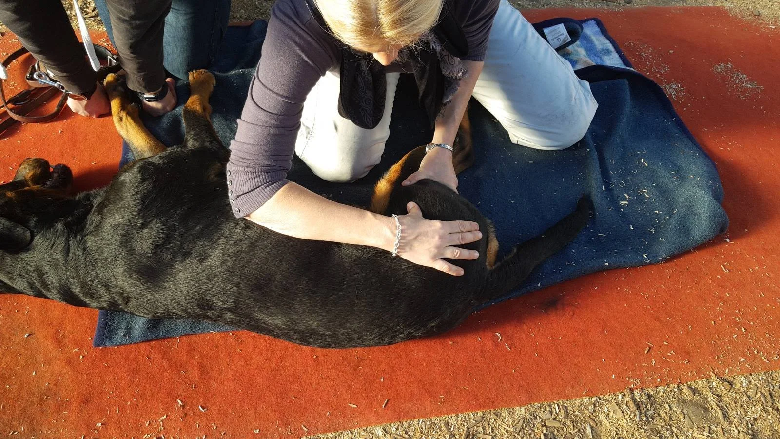 Eine Person liegt auf dem Boden und streichelt einen schwarzen Hund, während eine weitere Person den Hund berührt. Der Hund liegt auf einem blauen Decken auf einem roten Untergrund.