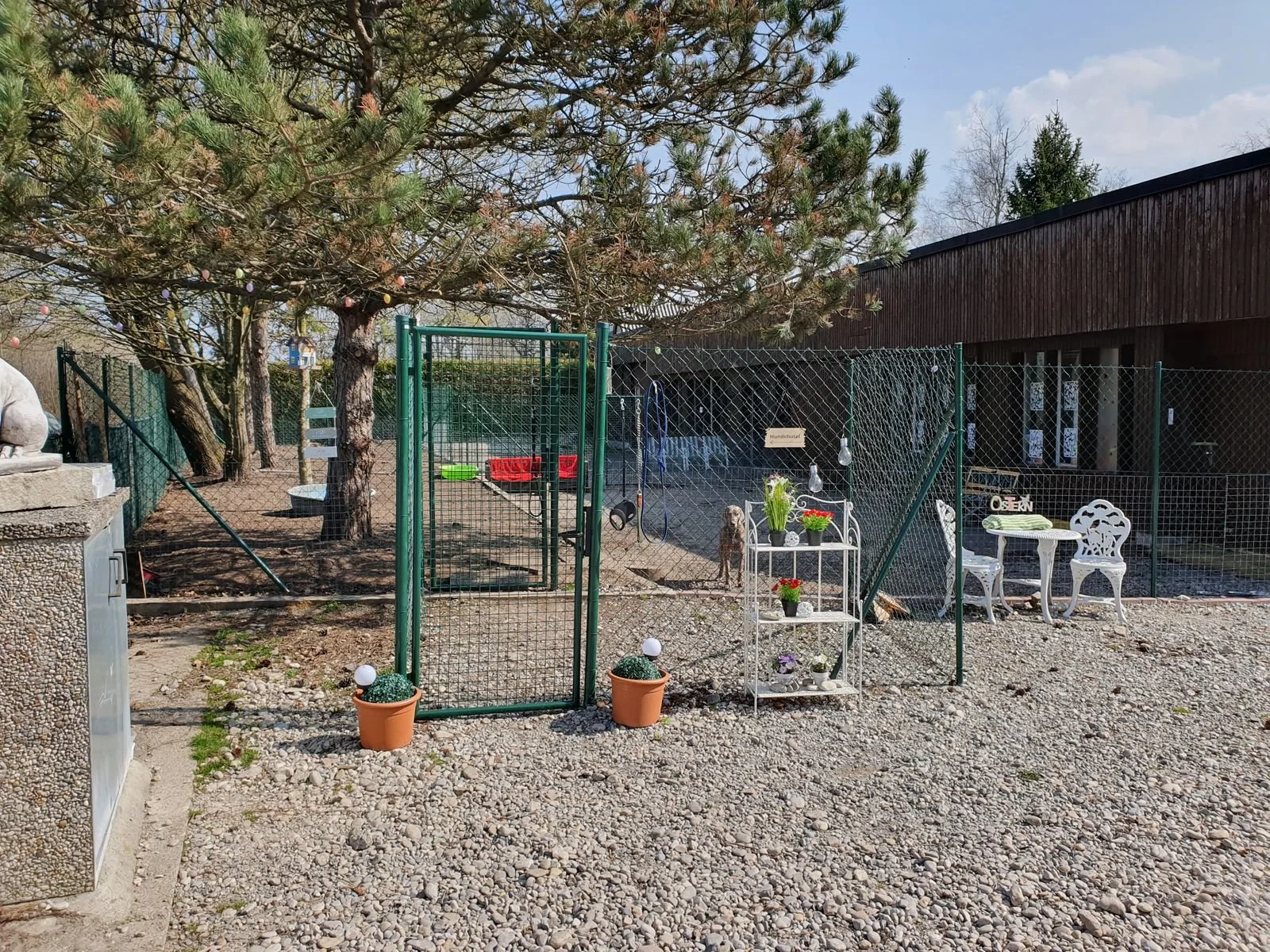 Ein umzäunter Bereich mit einem Baum, Gartenmöbeln, Pflanzen, Dekorationen und einem Hund. Es sieht aus wie ein Tierhaus oder Gartenbereich.