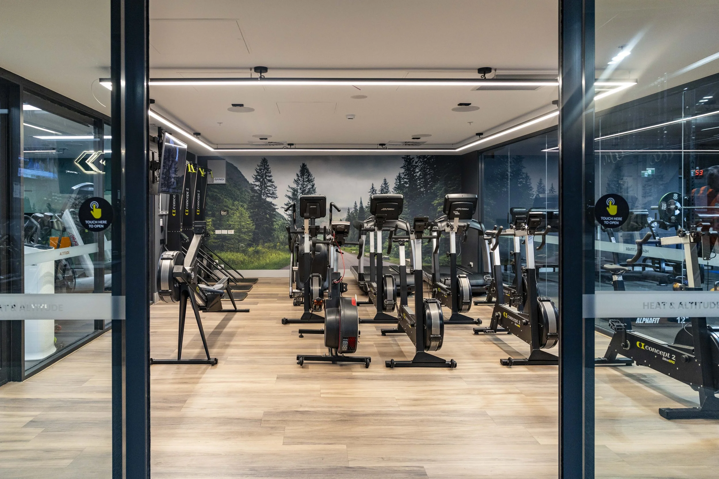 PlanGrp_GlgCats_Gym-7676.jpg