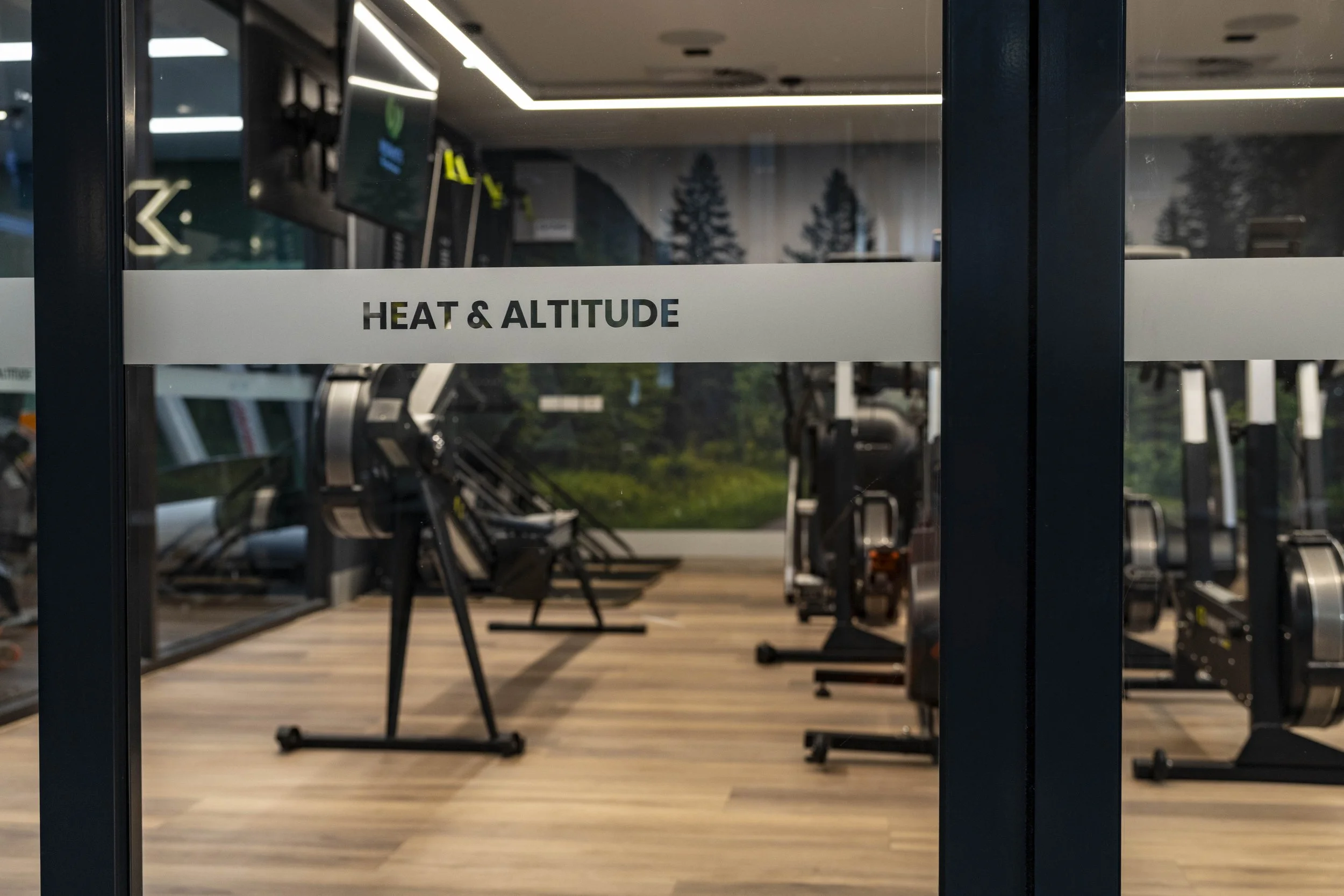 PlanGrp_GlgCats_Gym-7674.jpg