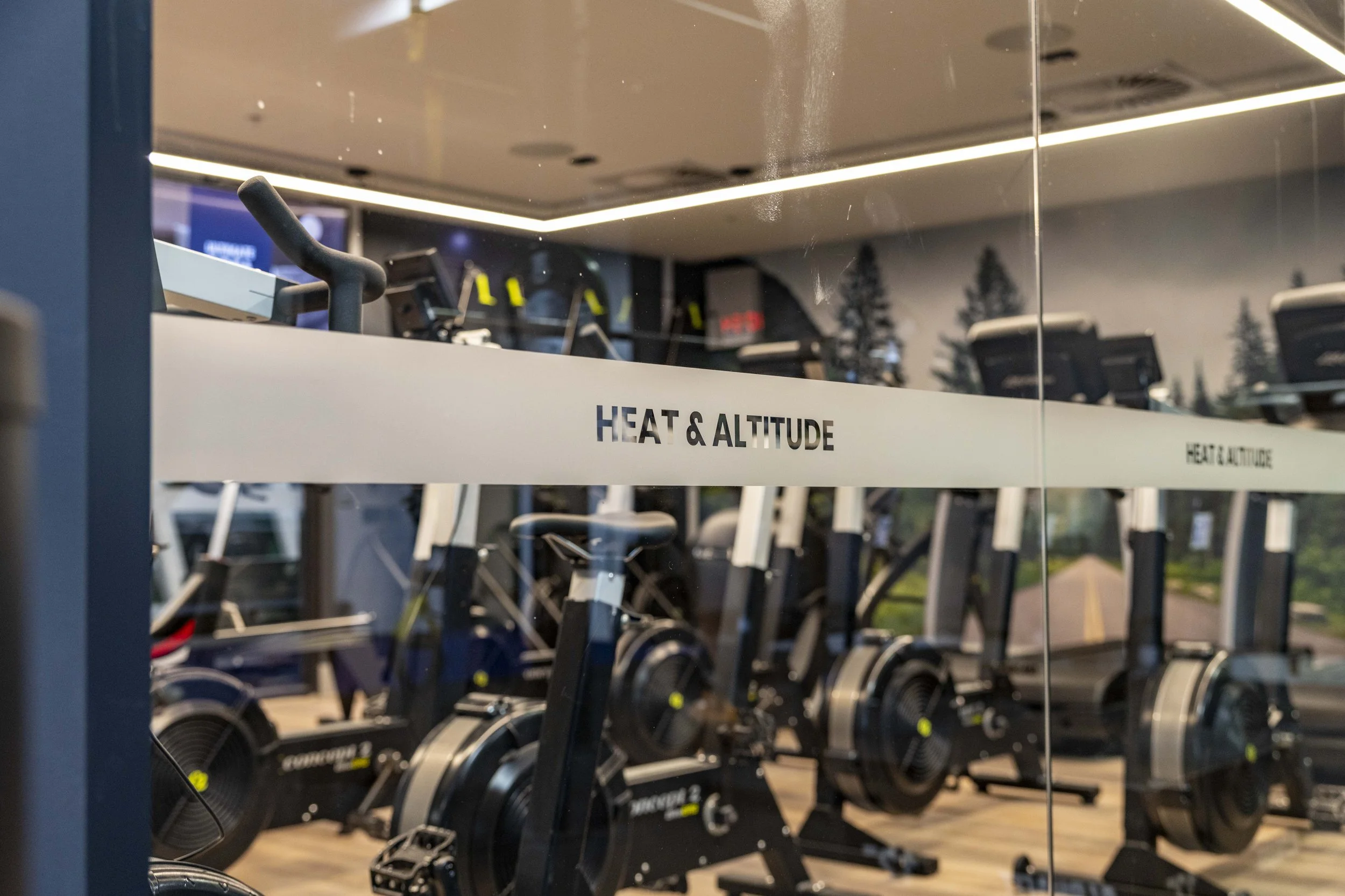 PlanGrp_GlgCats_Gym-7677.jpg