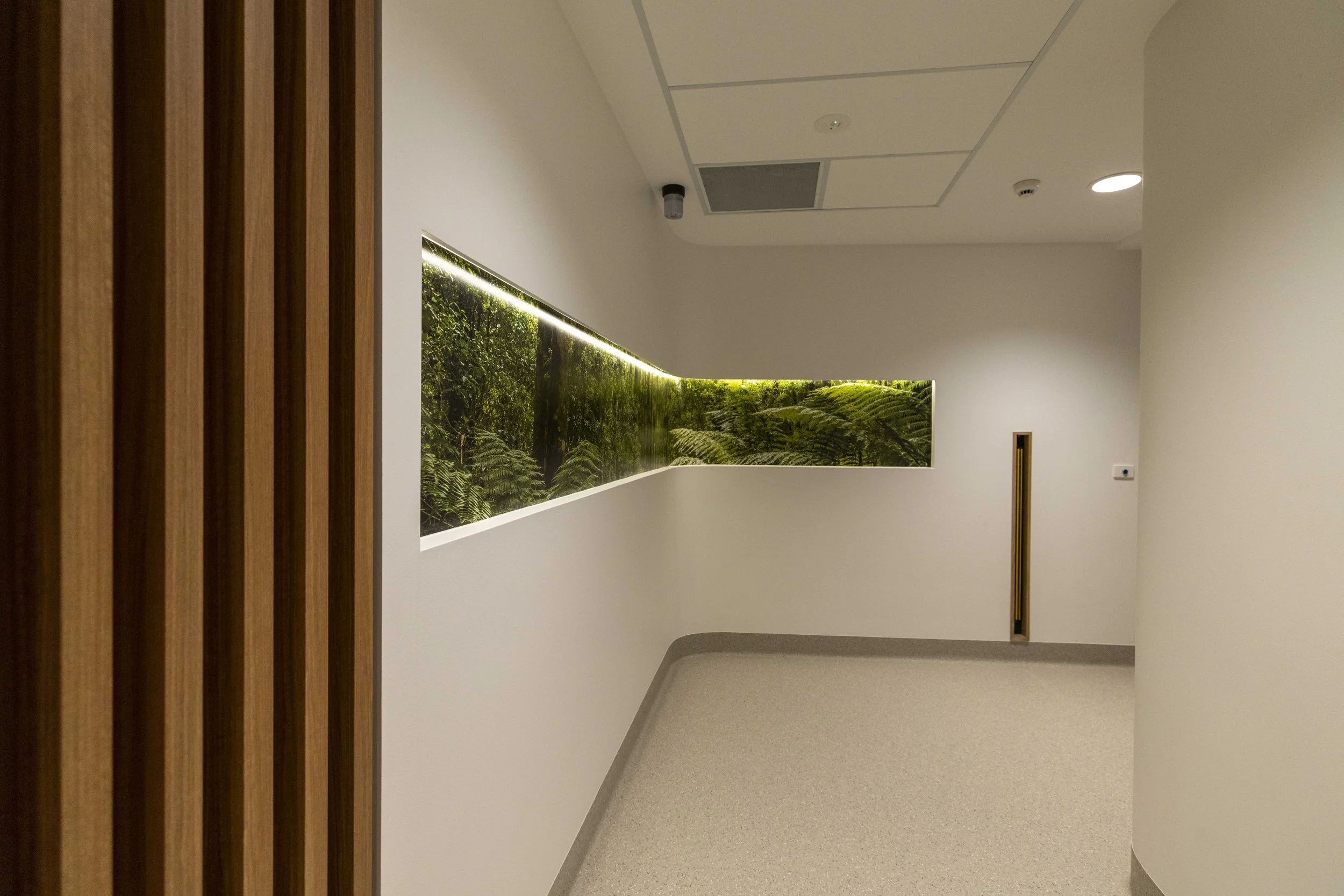 PlanGrp_Linarc_FernTreatmentArea-8012.jpg