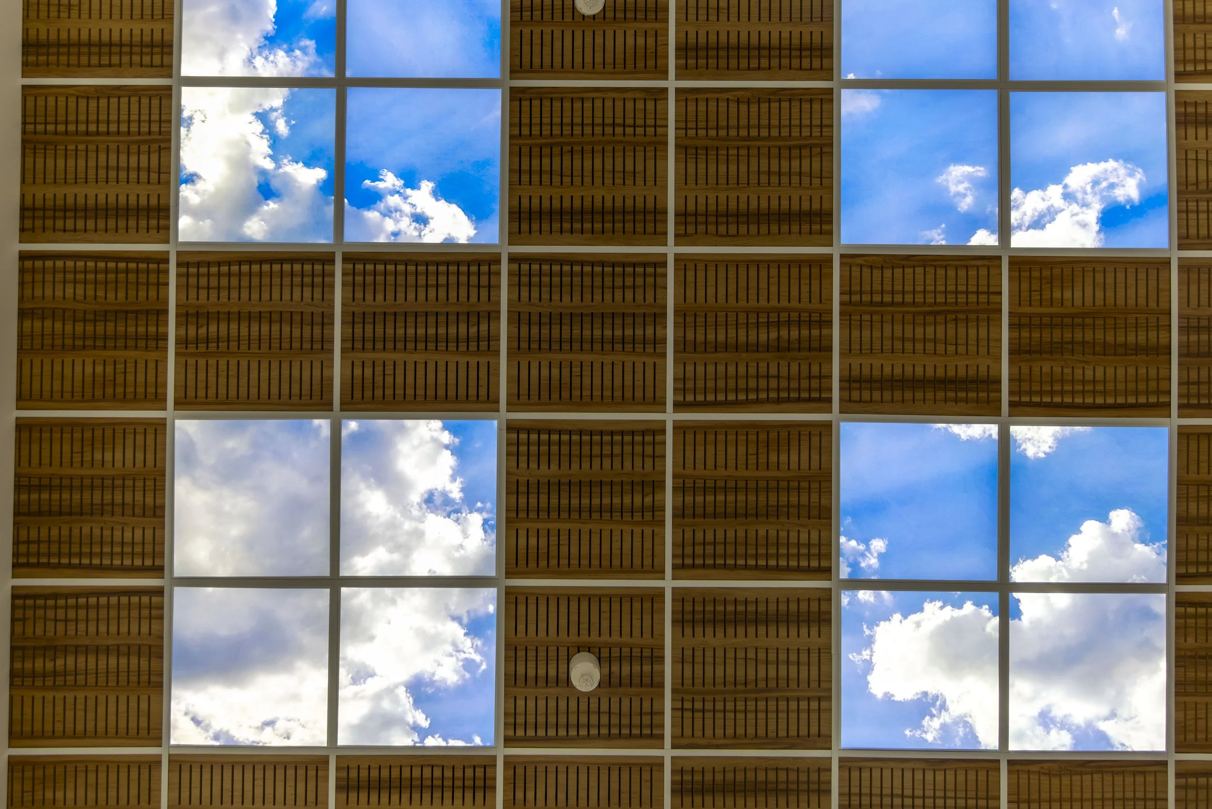 PlanGrp_Linarc_OutbackTreatmentArea-7726.jpg