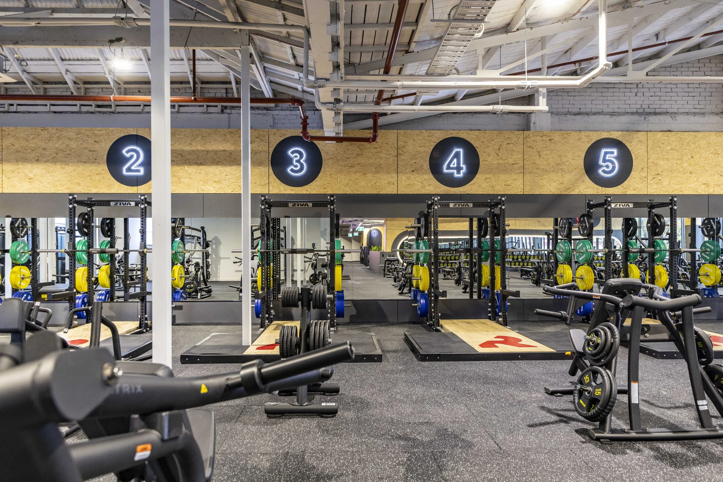 REVO_WeightsArea-1739.jpg