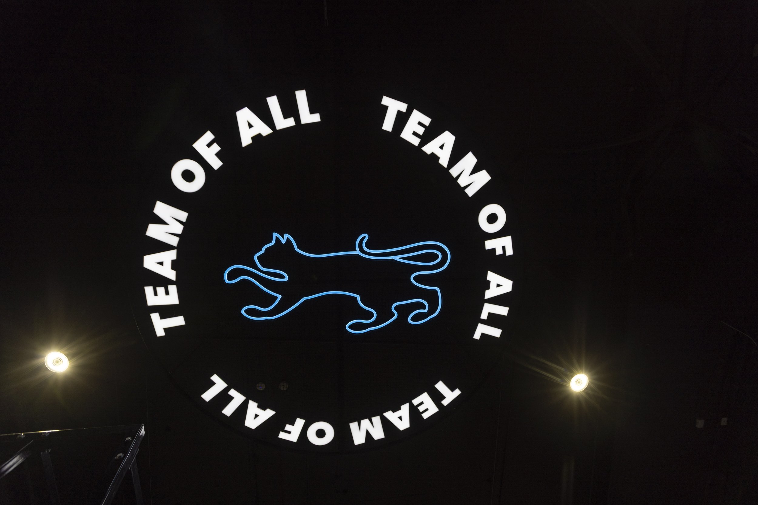 PlanGrp_GlgCats_Gym_CeilingLogo-7237.jpg