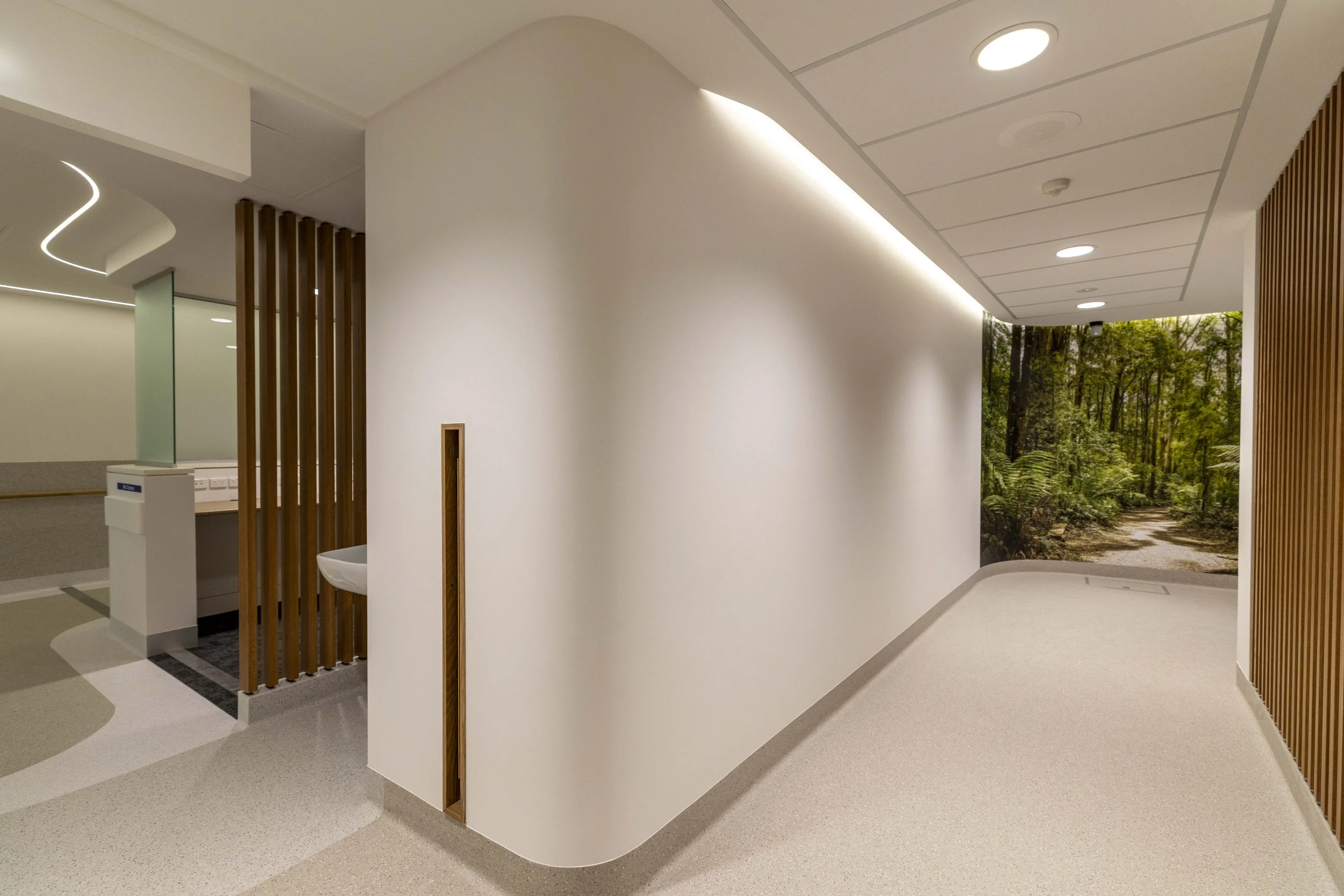 PlanGrp_Linarc_FernTreatmentArea-8015.jpg
