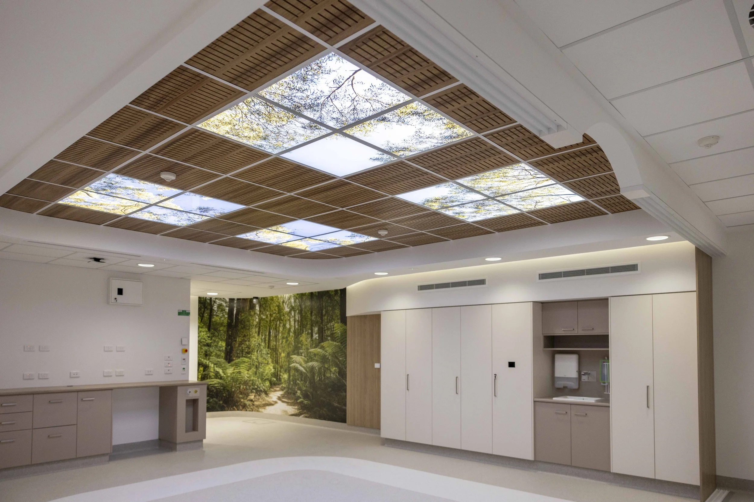 PlanGrp_Linarc_FernTreatmentArea-8465.jpg