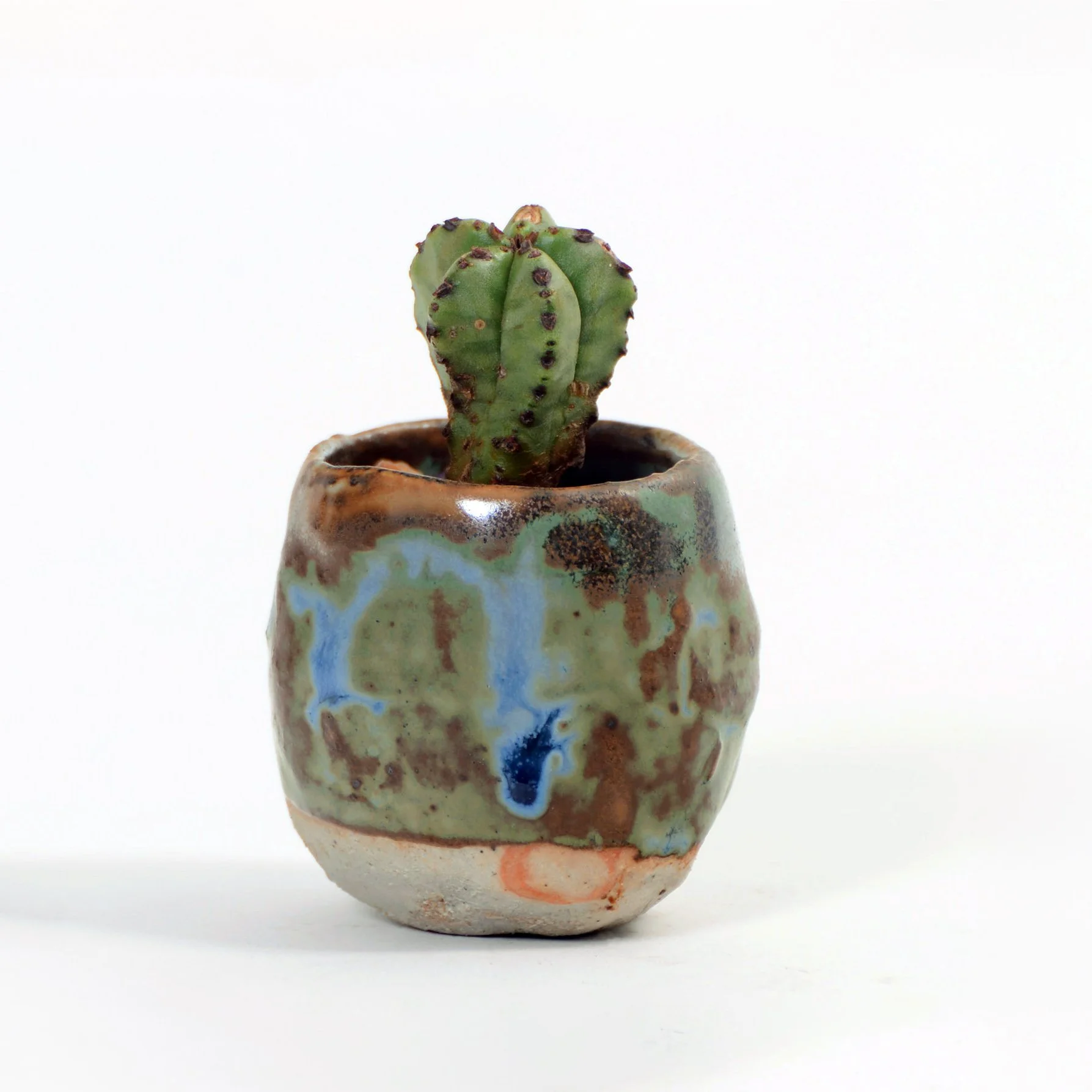 blue green small pot web.jpg