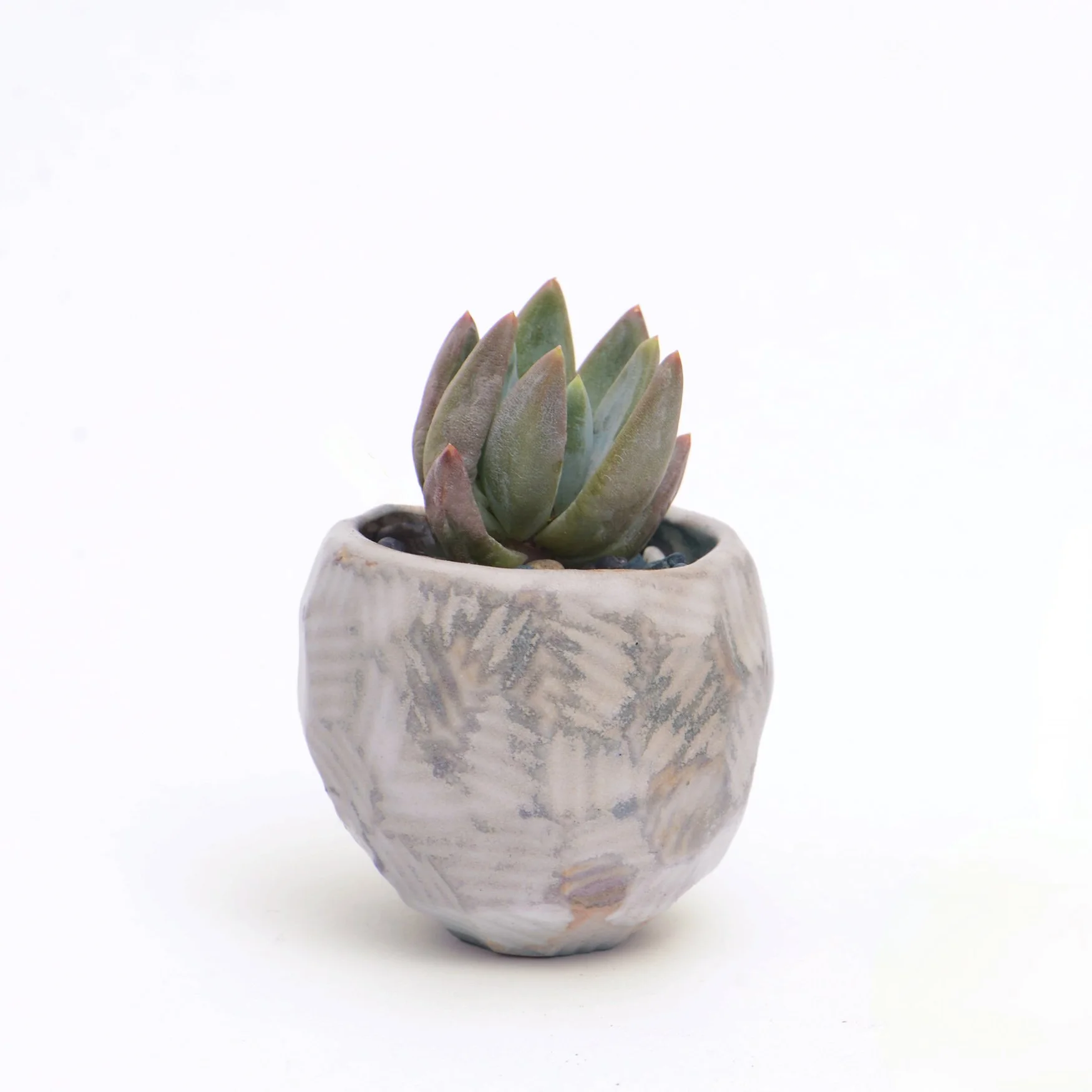Grey small pot web.jpg