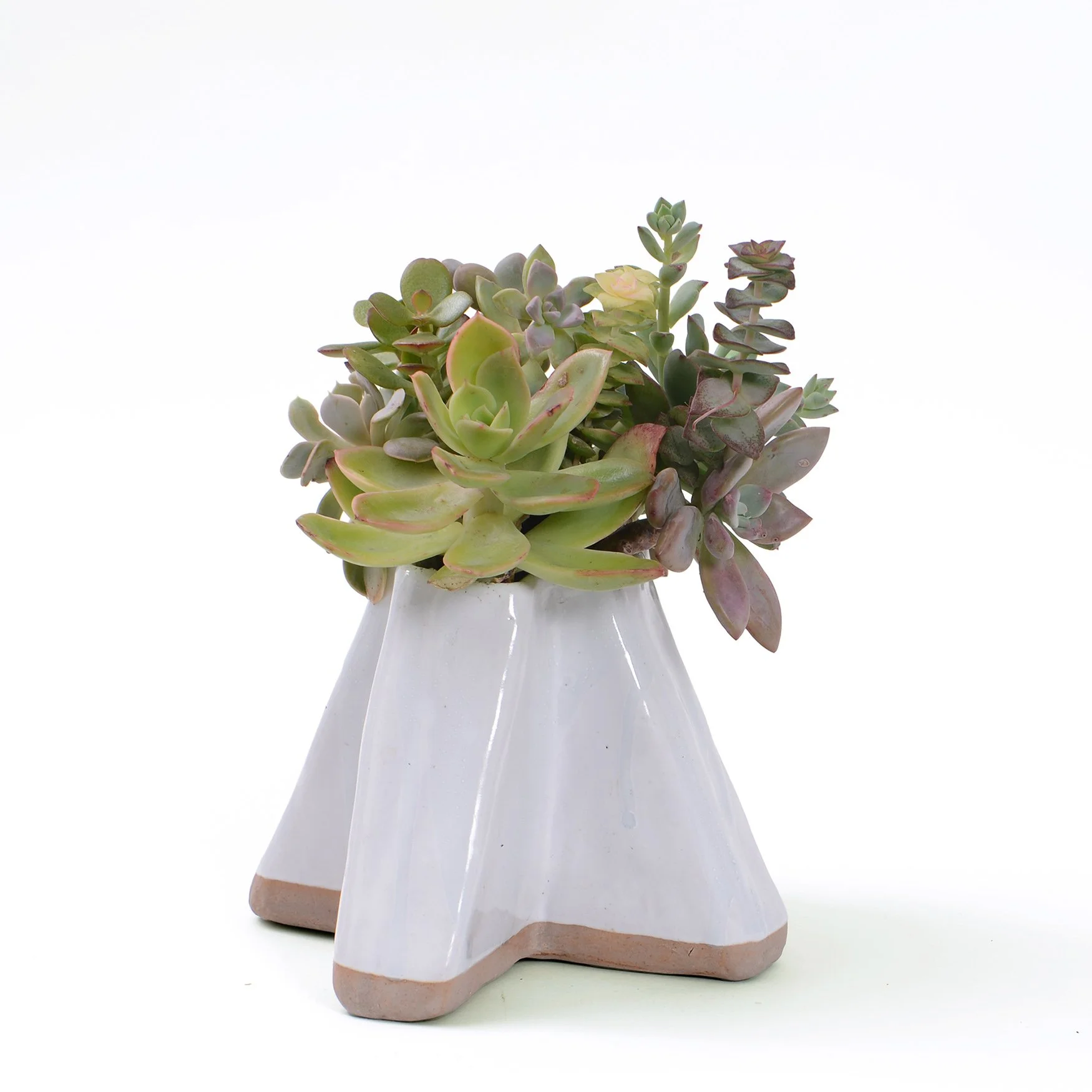 white cross planter web.jpg