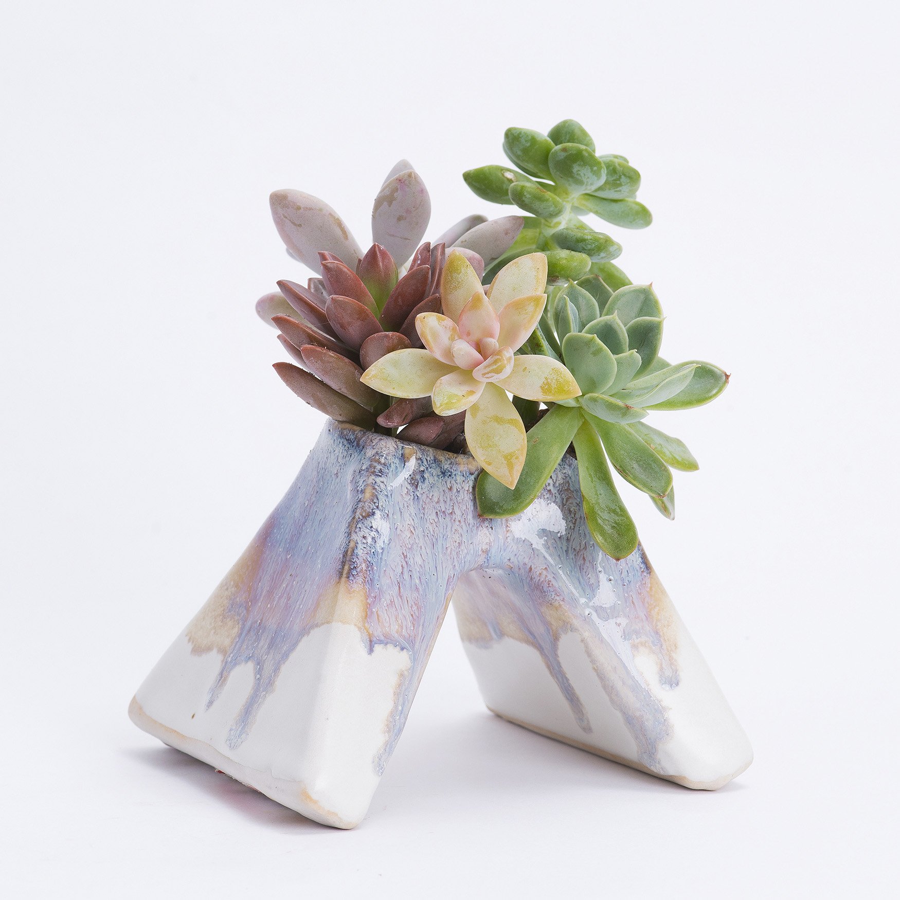 small rutile butterfly web.jpg