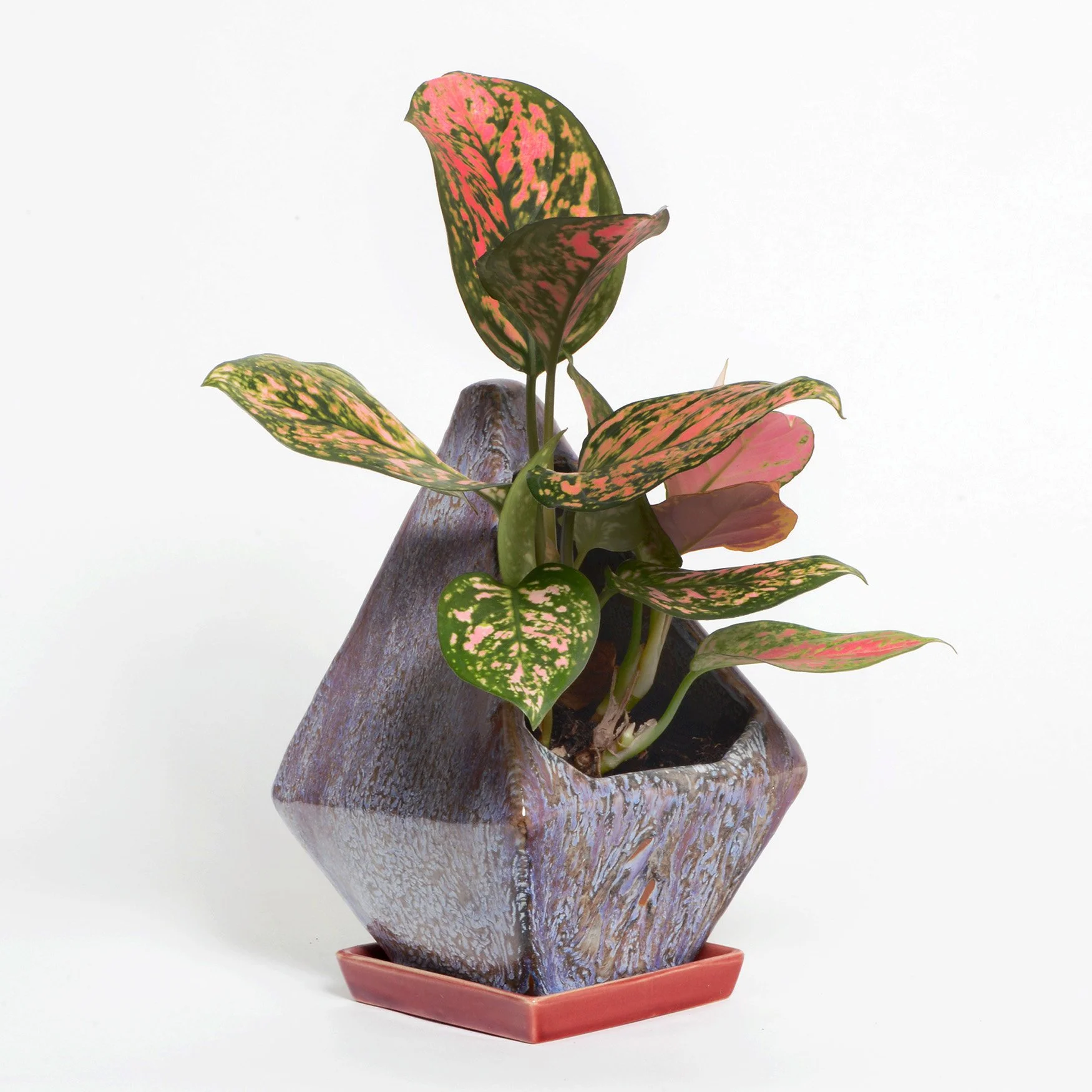 Mottled Diamond Planter web.jpg