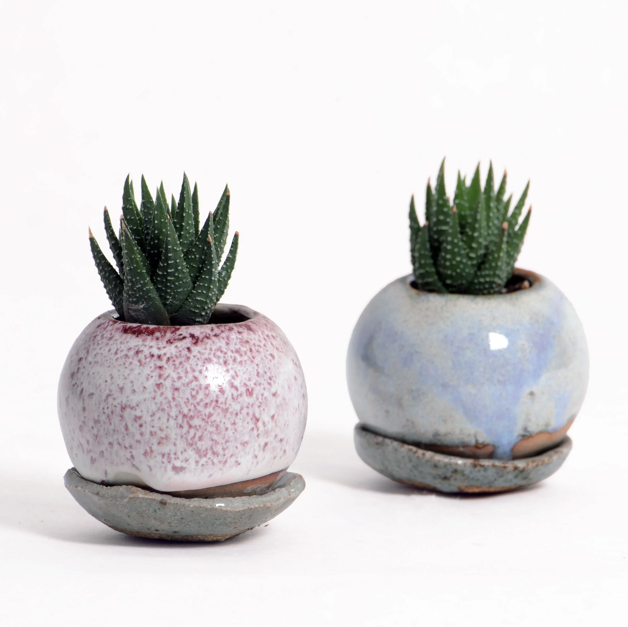 Small Pots
