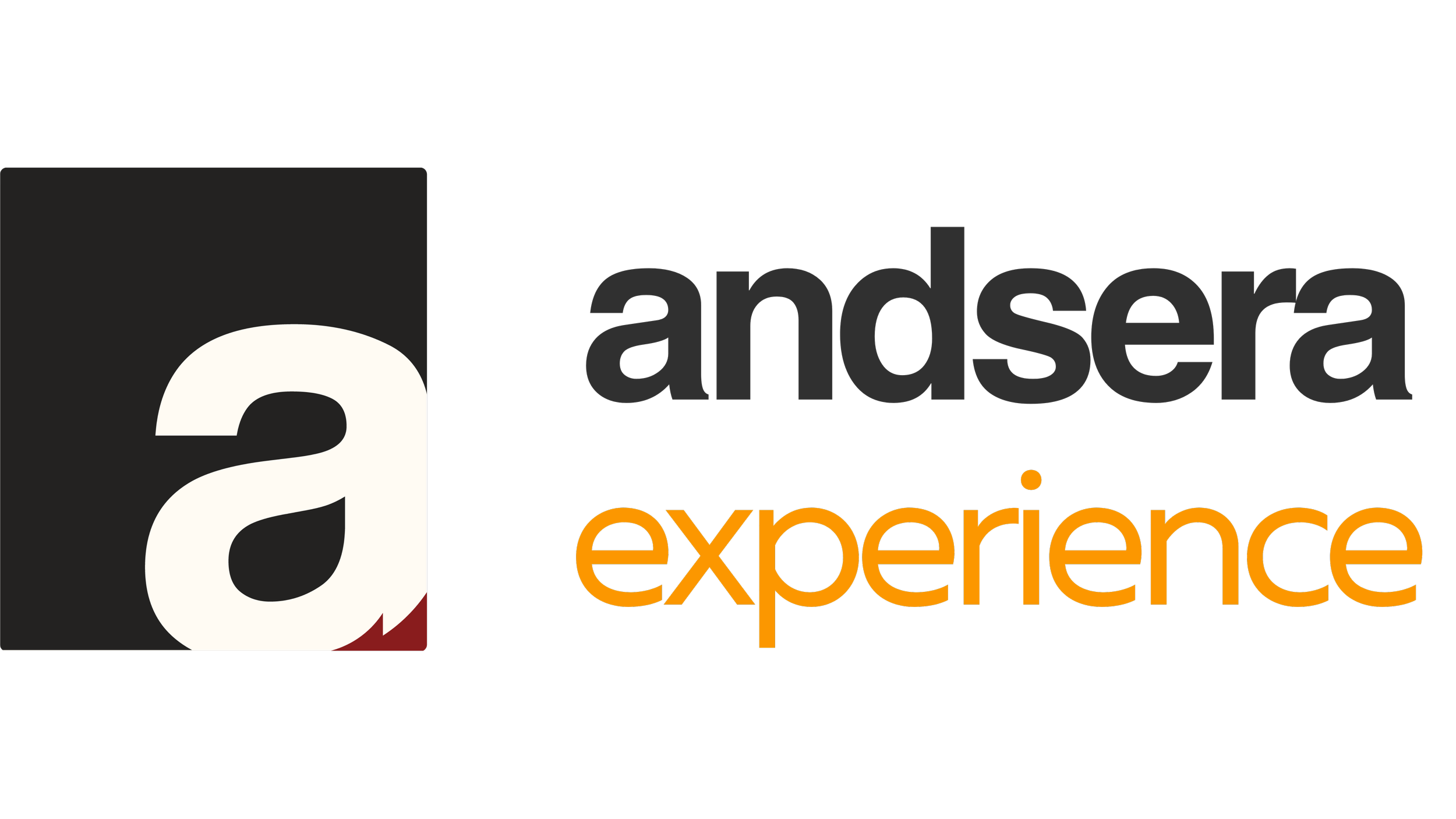 Logo of Andesara Experience with a stylized lowercase 'a' in black and white, and the words 'andesara experience' in black and orange text.