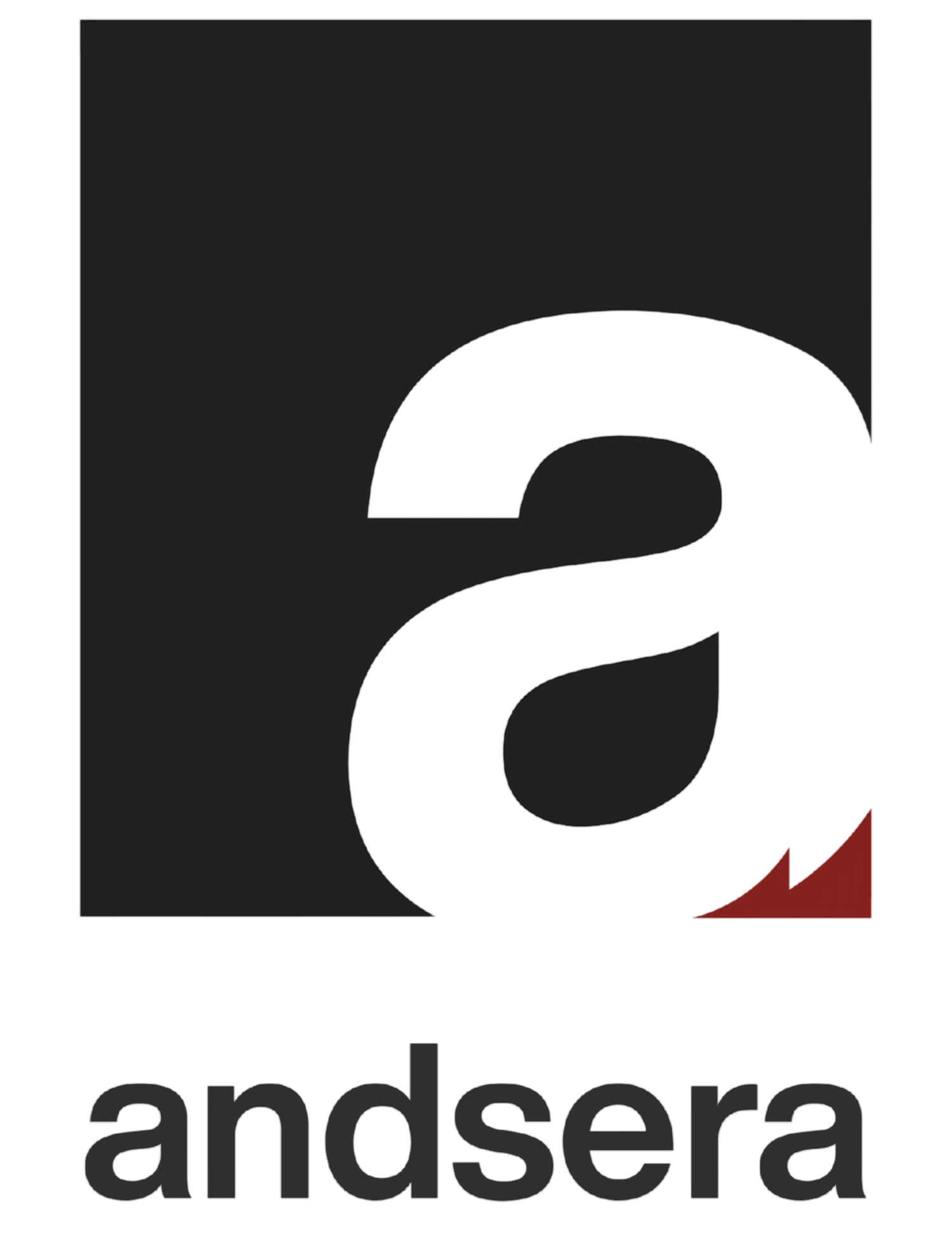 Your Site Title
