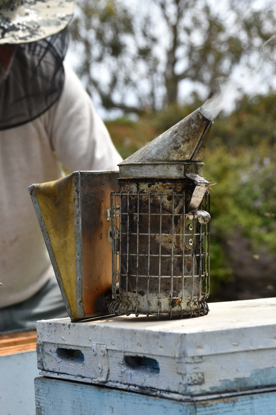 An old, rusty beekeeping smoker placed on a white wooden surface outdoors with trees in the background.