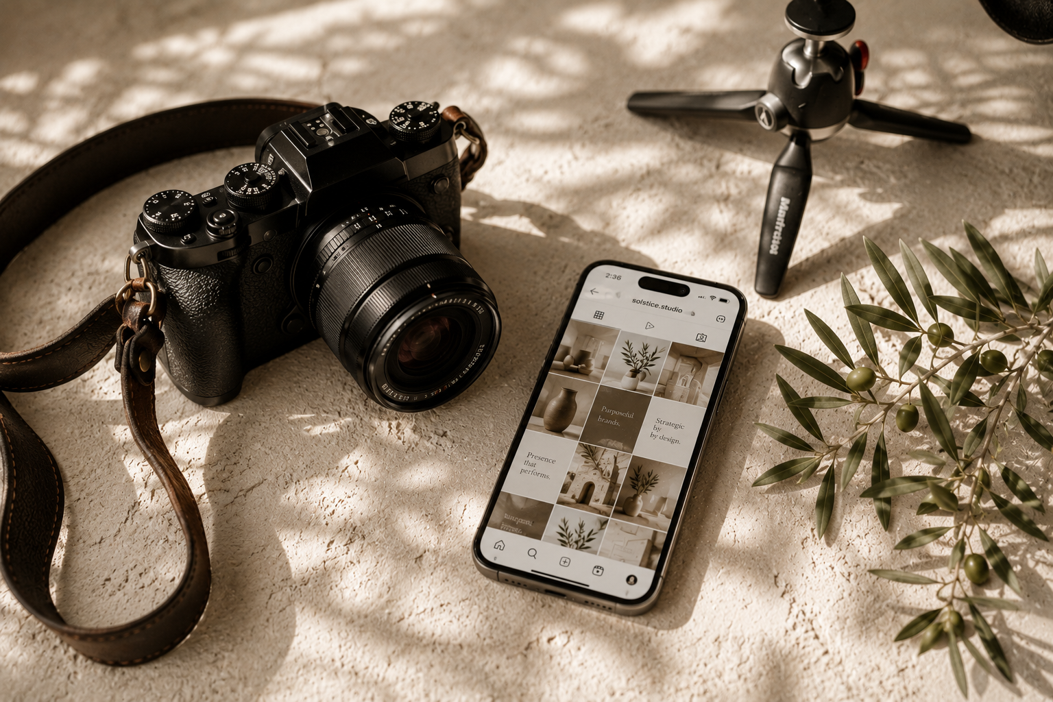 A camera, a smartphone displaying an image grid, a small tripod, and a leafy plant arranged on a textured surface with sunlight casting shadows.