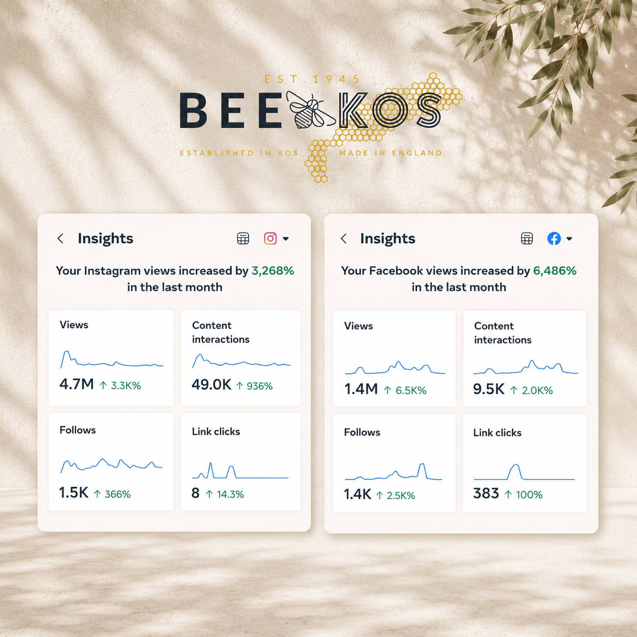 Graphic showing social media insights reports for Instagram and Facebook, highlighting increases in views, interactions, followers, and link clicks over the past month, with a bee and honeycomb design in the background, and the word 'BEEKOS' at the top.