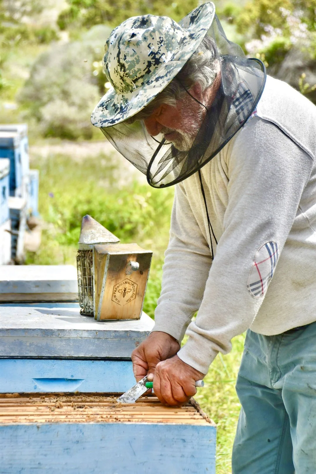 An elderly man wearing a camouflage hat and protective bee suit is working with a bee hive outdoors. He is holding a hive tool and inspecting the honeycomb frames.
