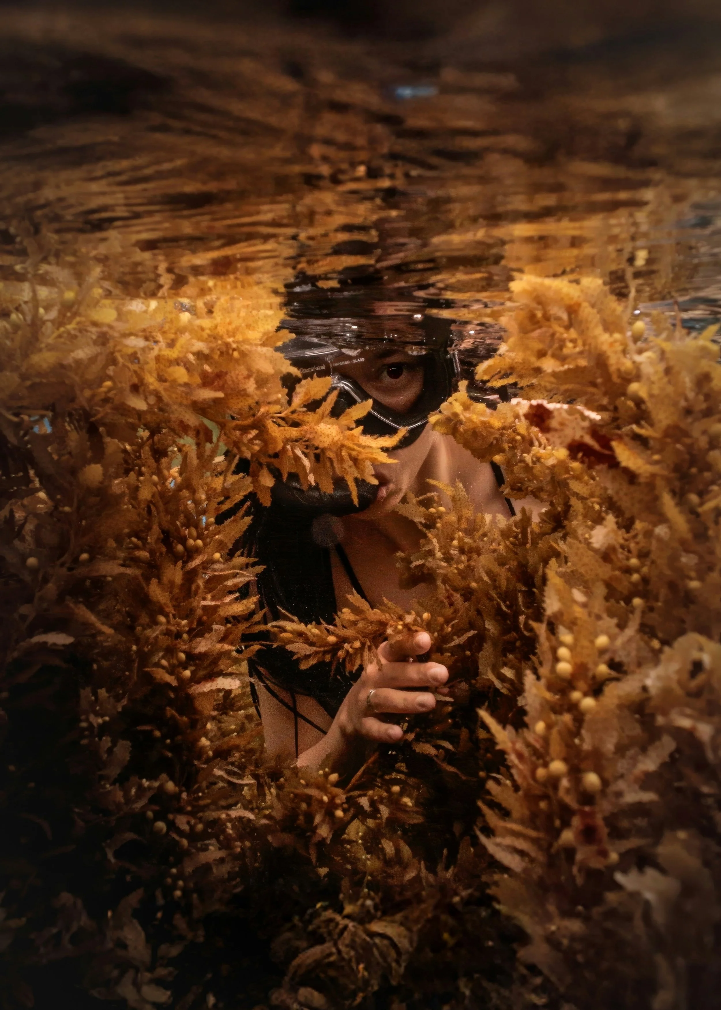 A person wearing a black wetsuit and face mask, holding a bunch of seaweed or kelp underwater, with their eye visible through the mask, in a dark underwater environment.