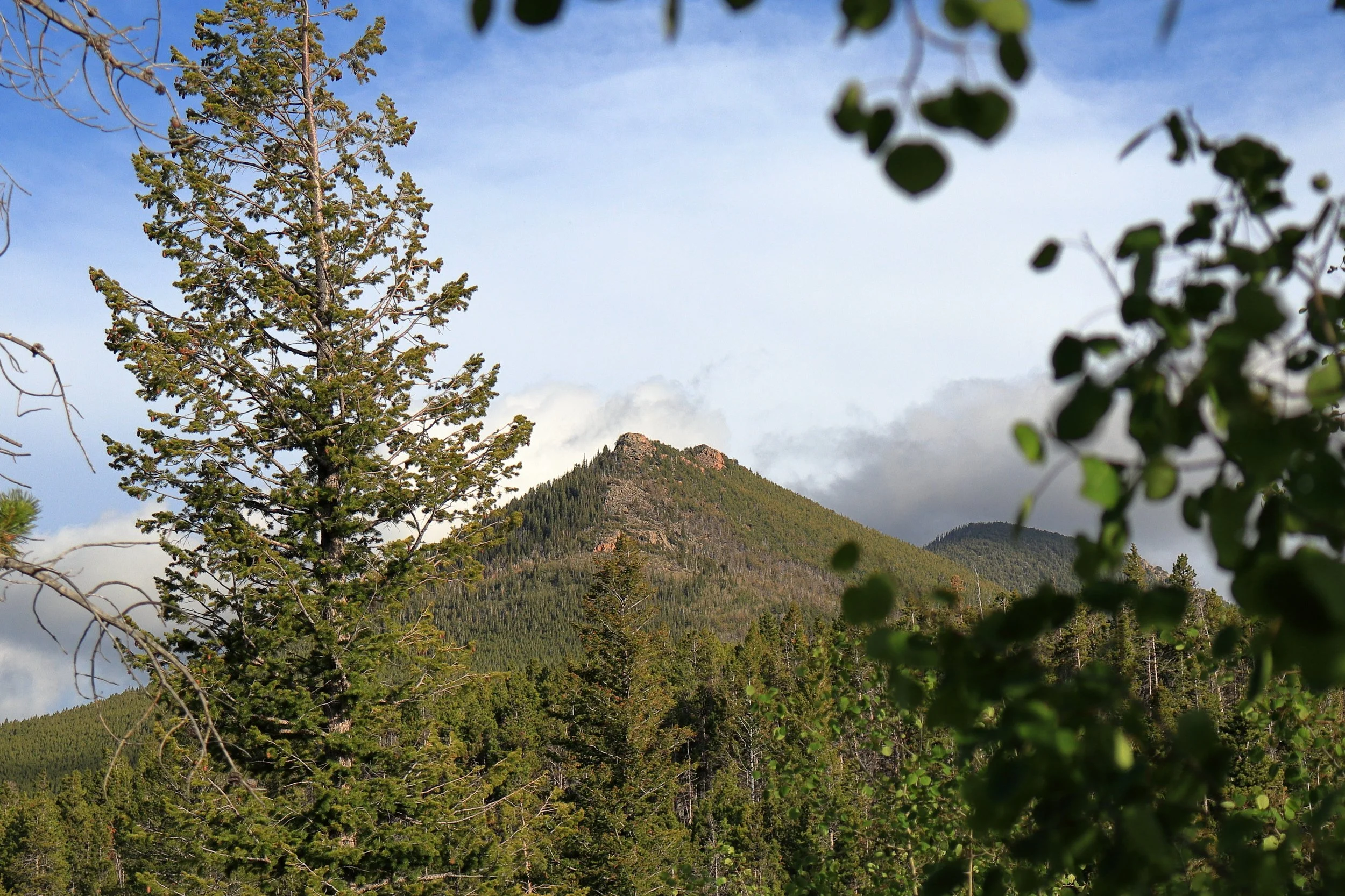 MTN-037