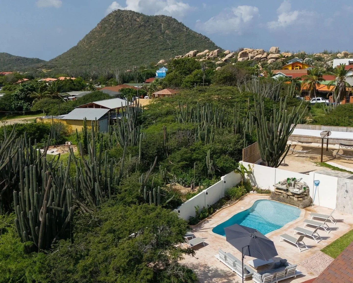 A backyard with a swimming pool, lounge chairs, and umbrellas, surrounded by tall cacti and lush green vegetation. In the background, there are residential houses and a hillside with large rocks and a mountain.