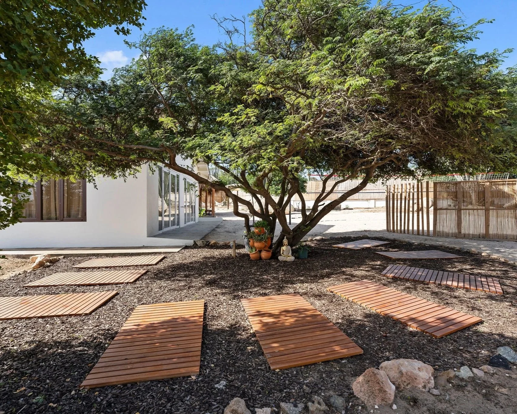Outdoor backyard with a large tree, wooden pathway tiles on gravel, a modern white building, and Buddhist statues and potted plants near the tree.