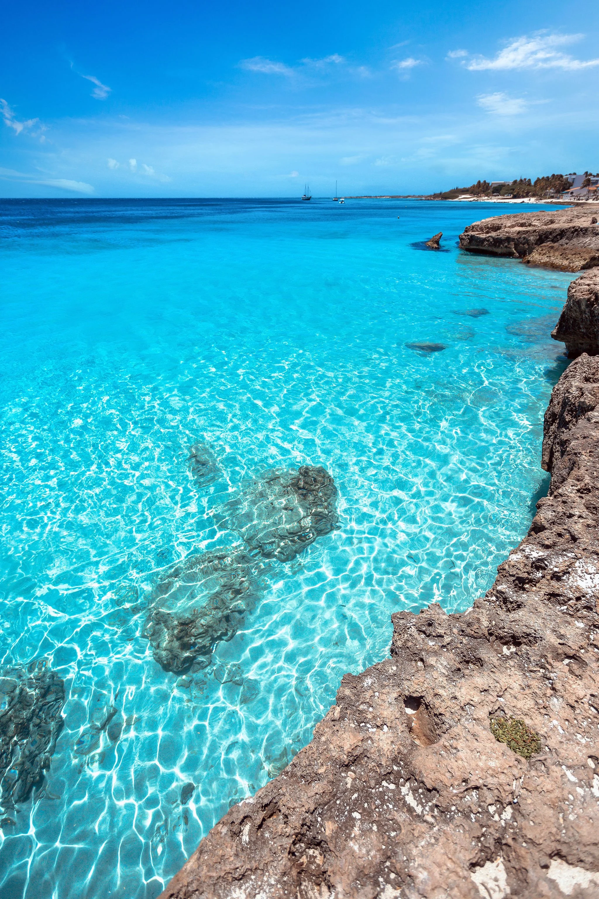Tres tapi aruba