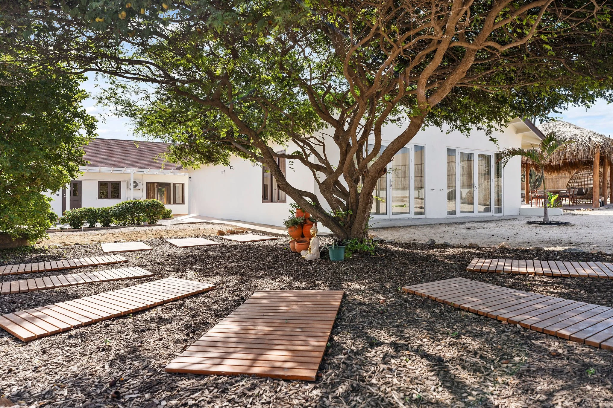 A white building with a sloped roof, multiple large glass doors, and windows, set amidst trees and outdoor seating. In the foreground, there is a large, sprawling tree with twisting branches, surrounded by potted plants and decorative statues. The ground is covered with soil and square stepping stones.