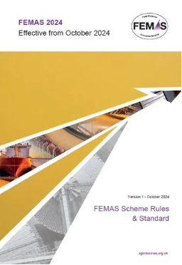 Cover page of the FEMA 2024 document titled 'FEMA Scheme Rules & Standard', effective October 2024, with a design featuring yellow, white, and gray geometric shapes and images related to construction and infrastructure.