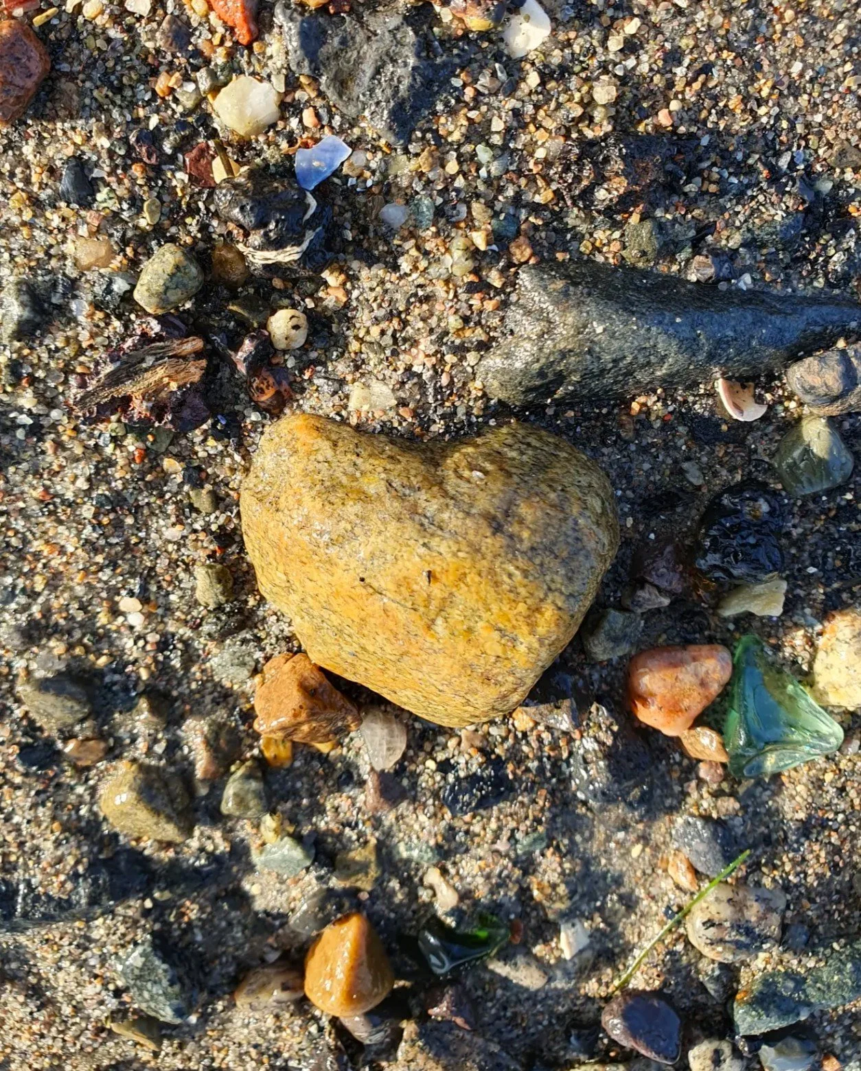 Close-up of various small rocks and pebbles on sand, with a prominent large yellowish-brown rock in the center.