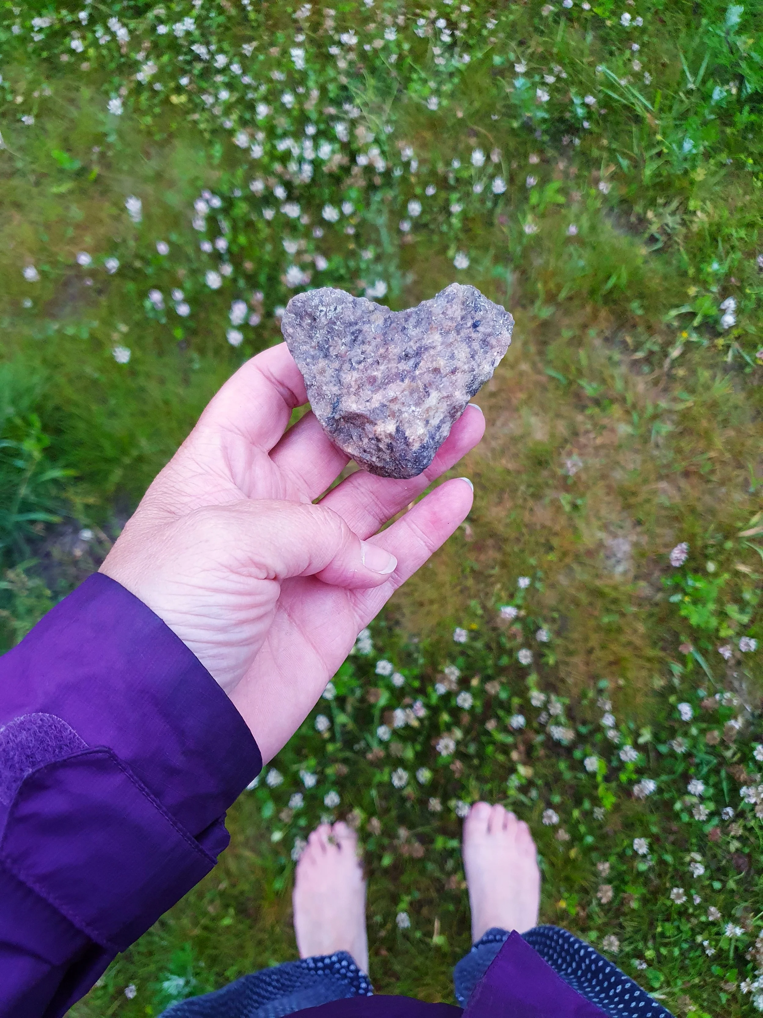 Person holding a heart-shaped rock in a grassy area with small white flowers. The person's feet are visible in the background.