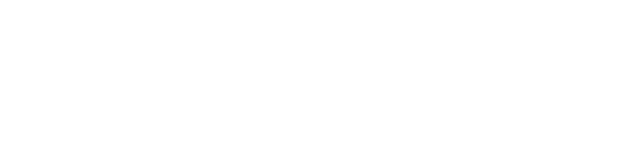 BONN logo